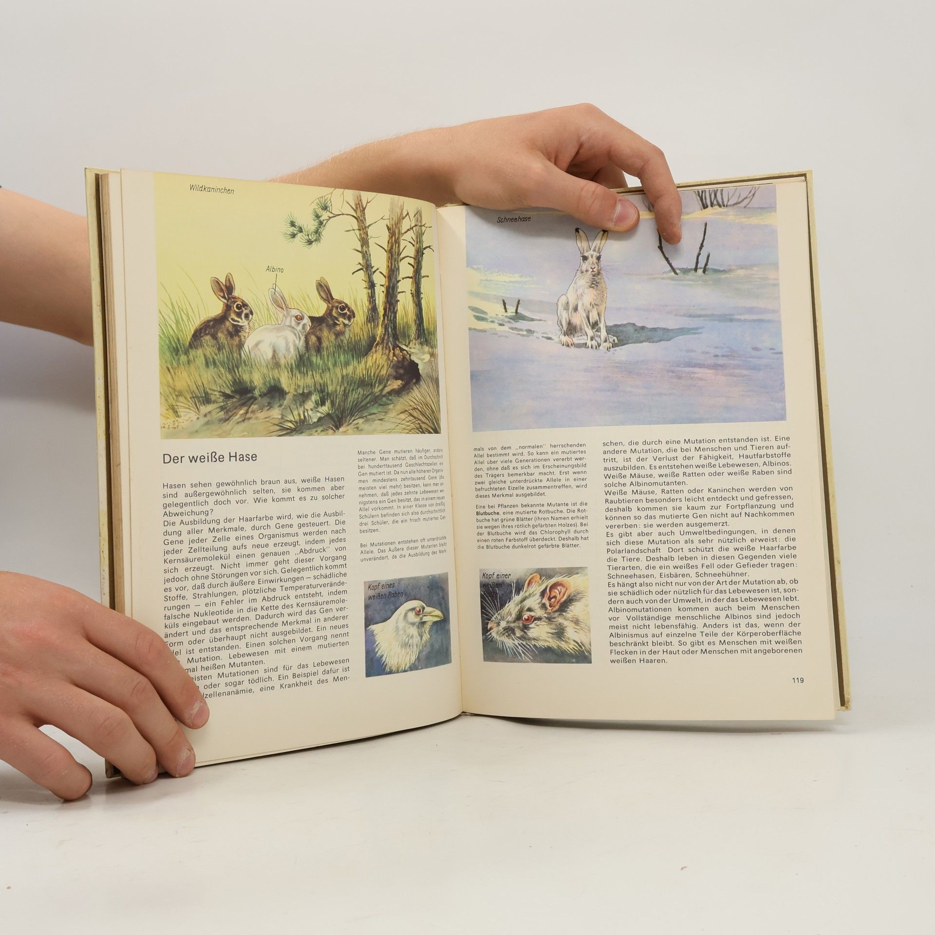 Georg A. Litsche Rund um die Biologie