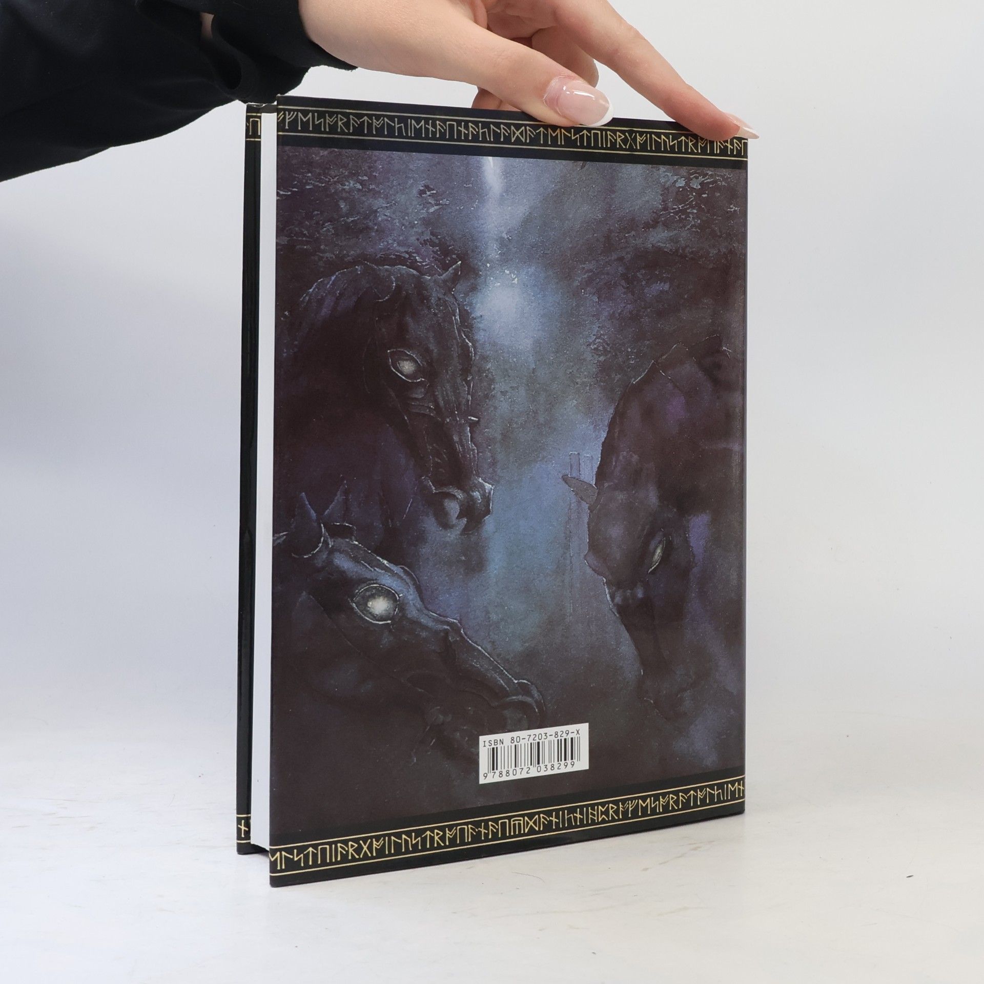 J. R. R. Tolkien Pán prstenů. Společenstvo prstenu