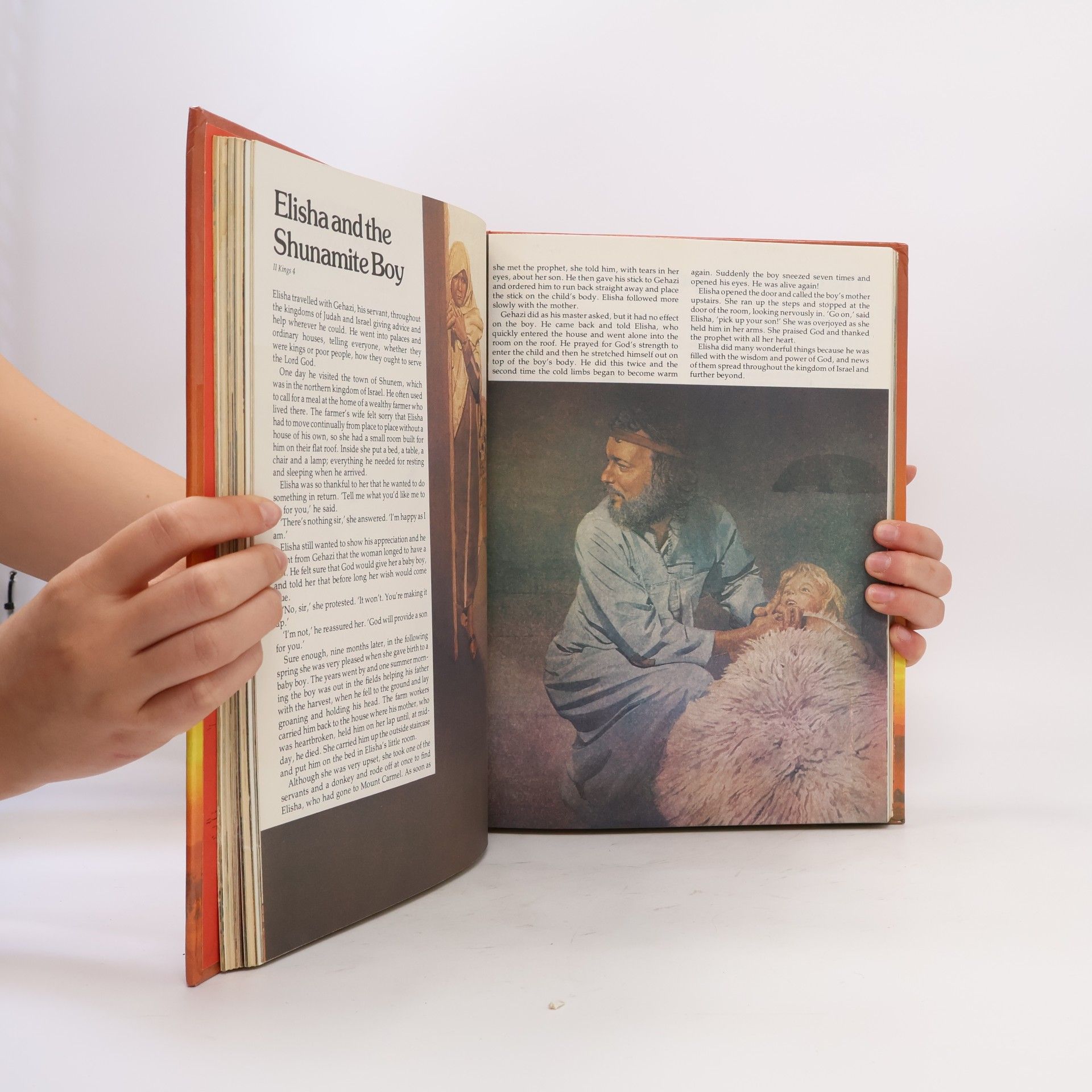 Autorenkollektiv The Illustrated Children´s Bible