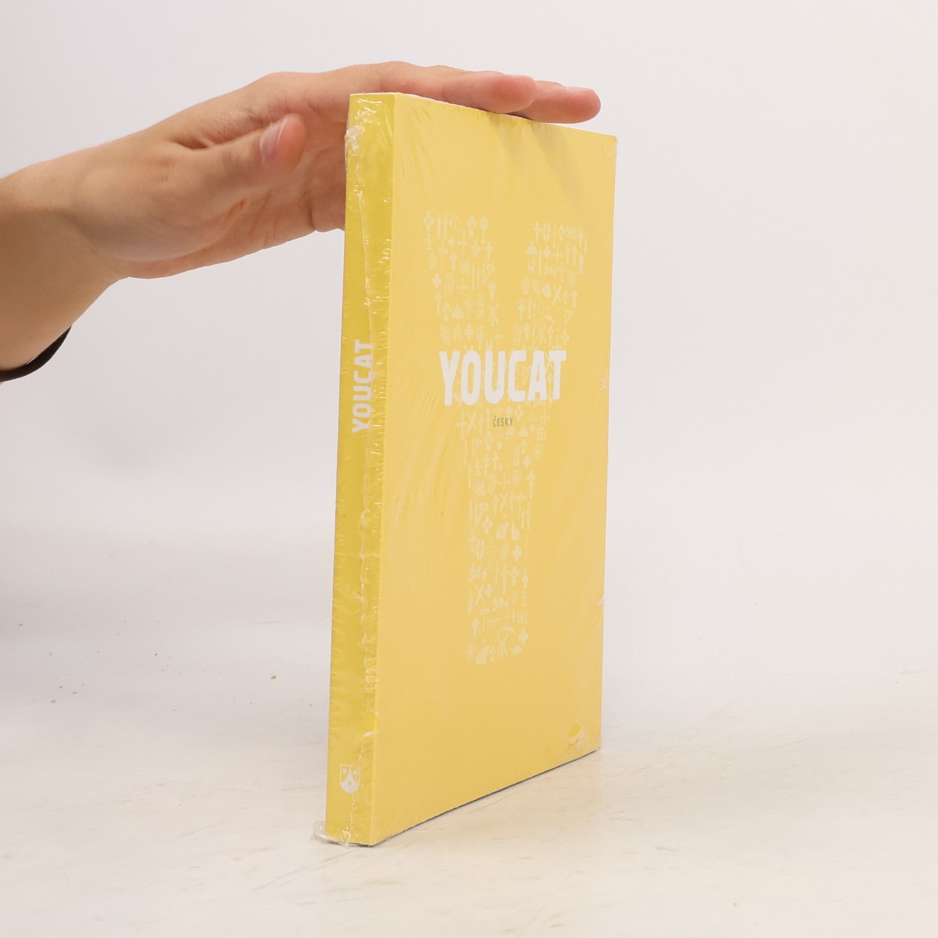 Autorenkollektiv Youcat: katechismus katolické církve pro mladé