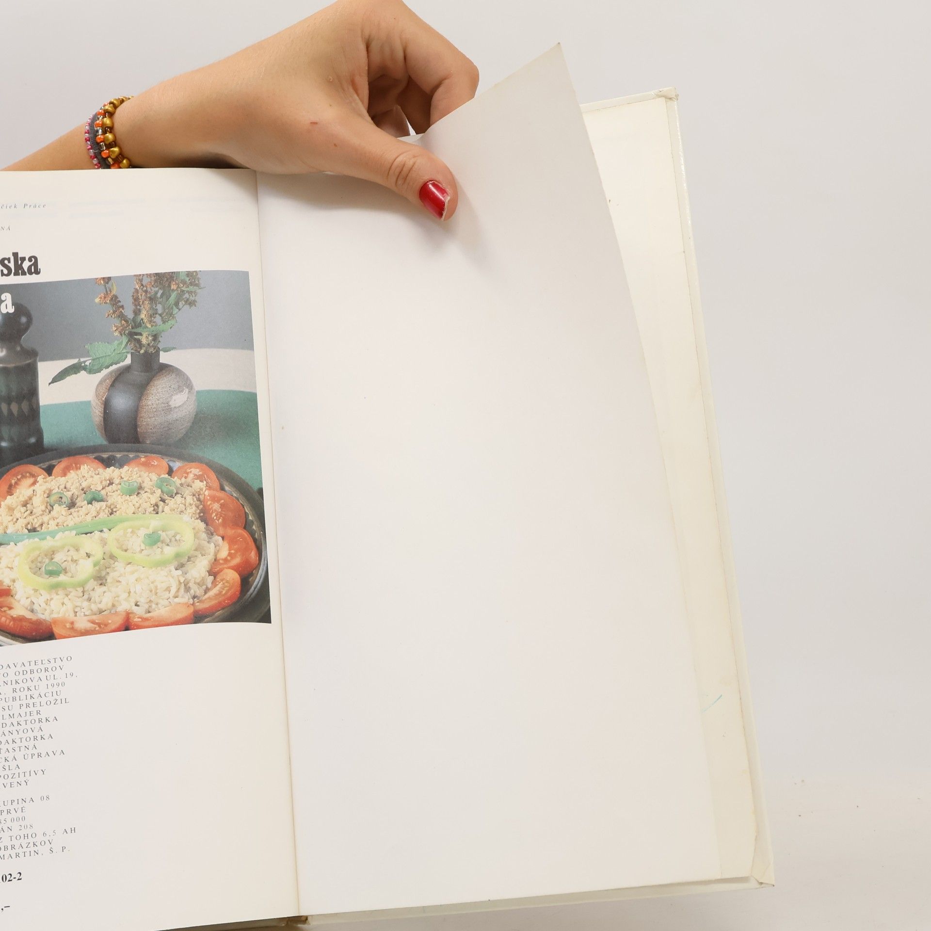 Karel Červený Vegetariánská kuchařka. 300 receptů