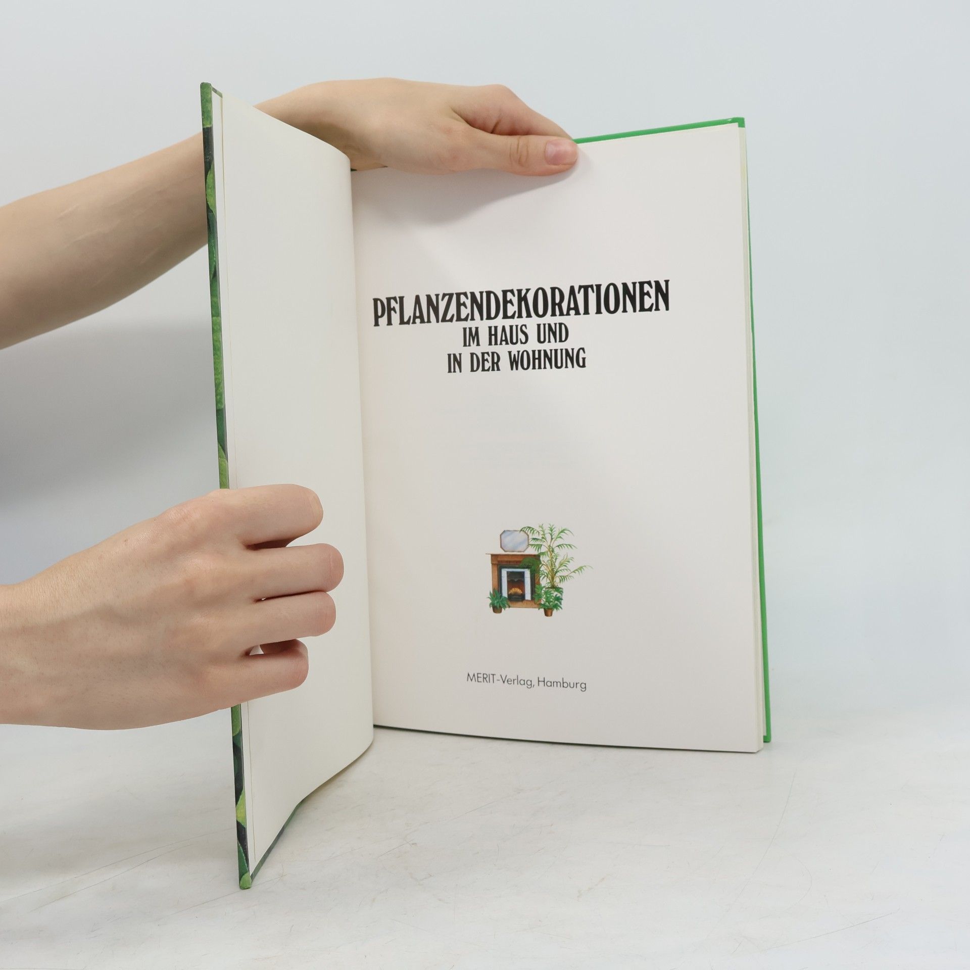 AA.VV. Pflanzendekorationen im Haus und der Wohnung