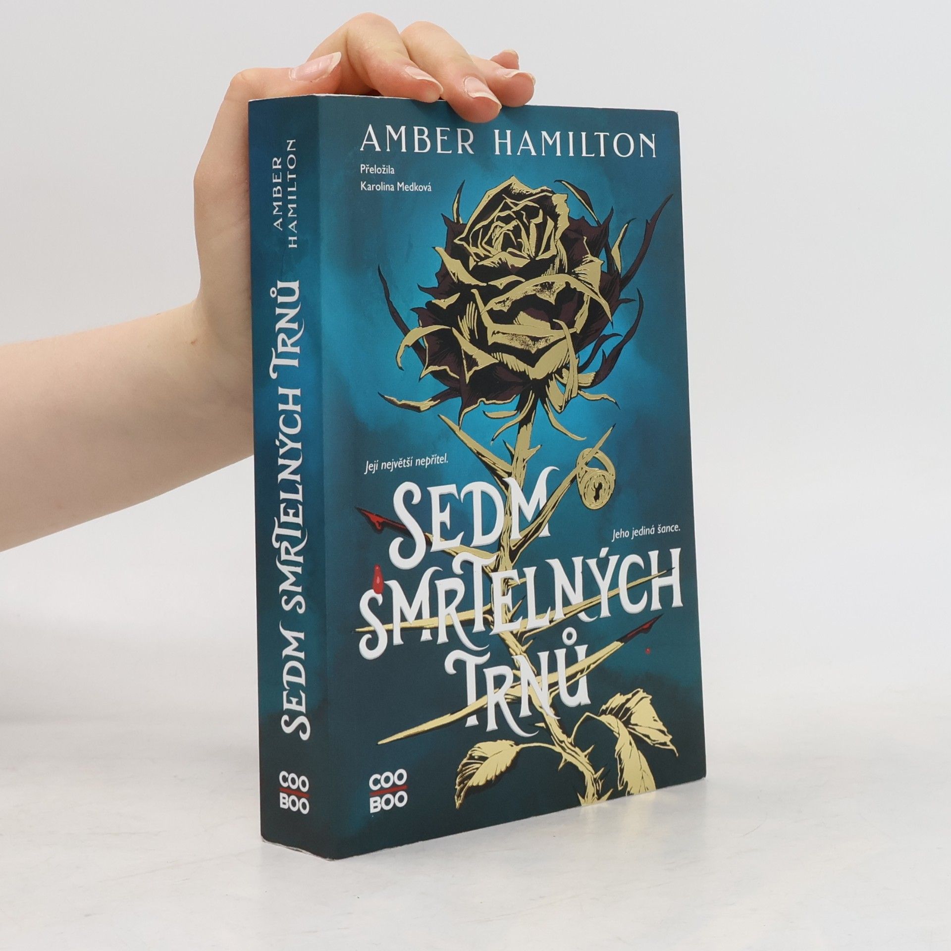 Amber Hamilton Sedm smrtelných trnů