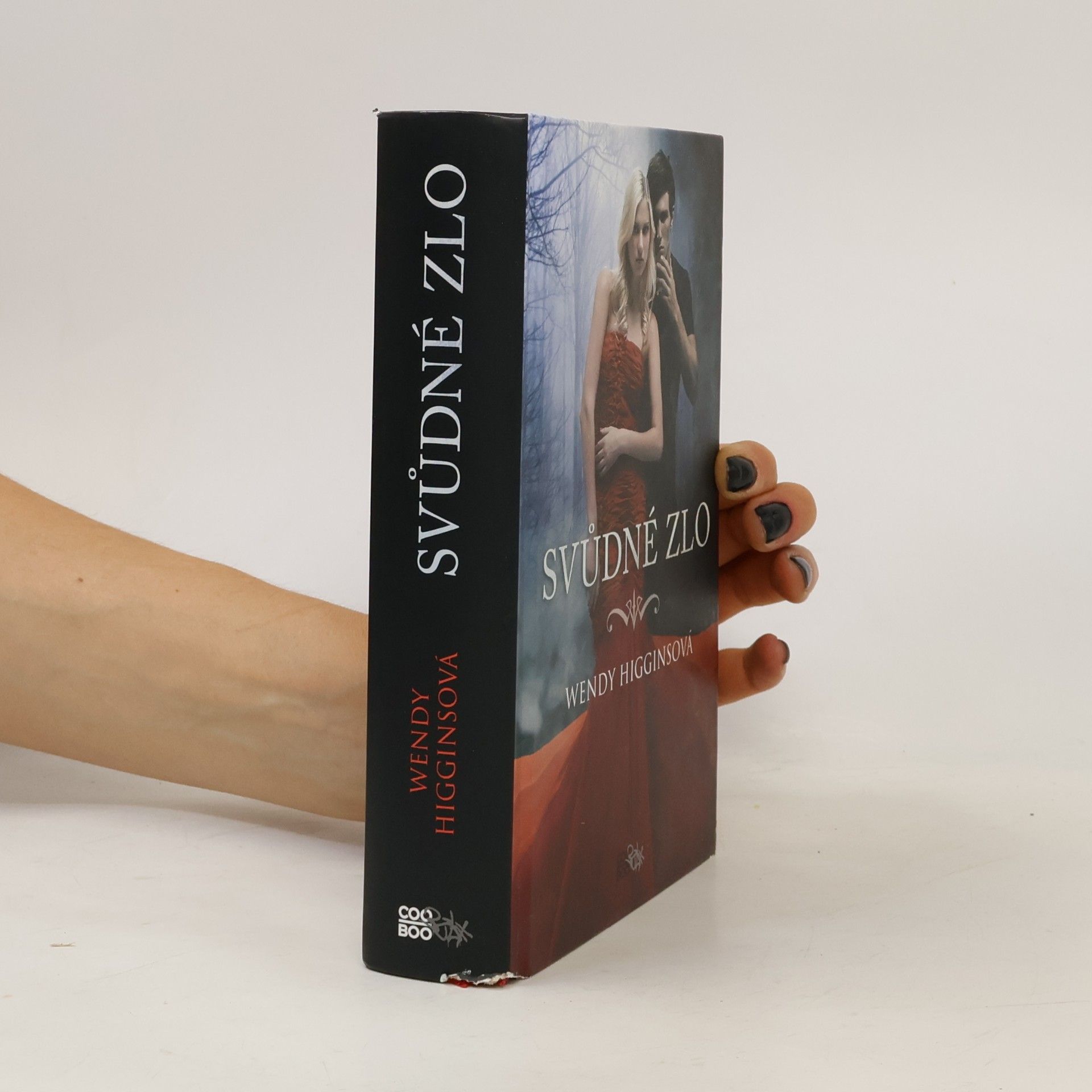 Wendy Higgins Svůdné zlo