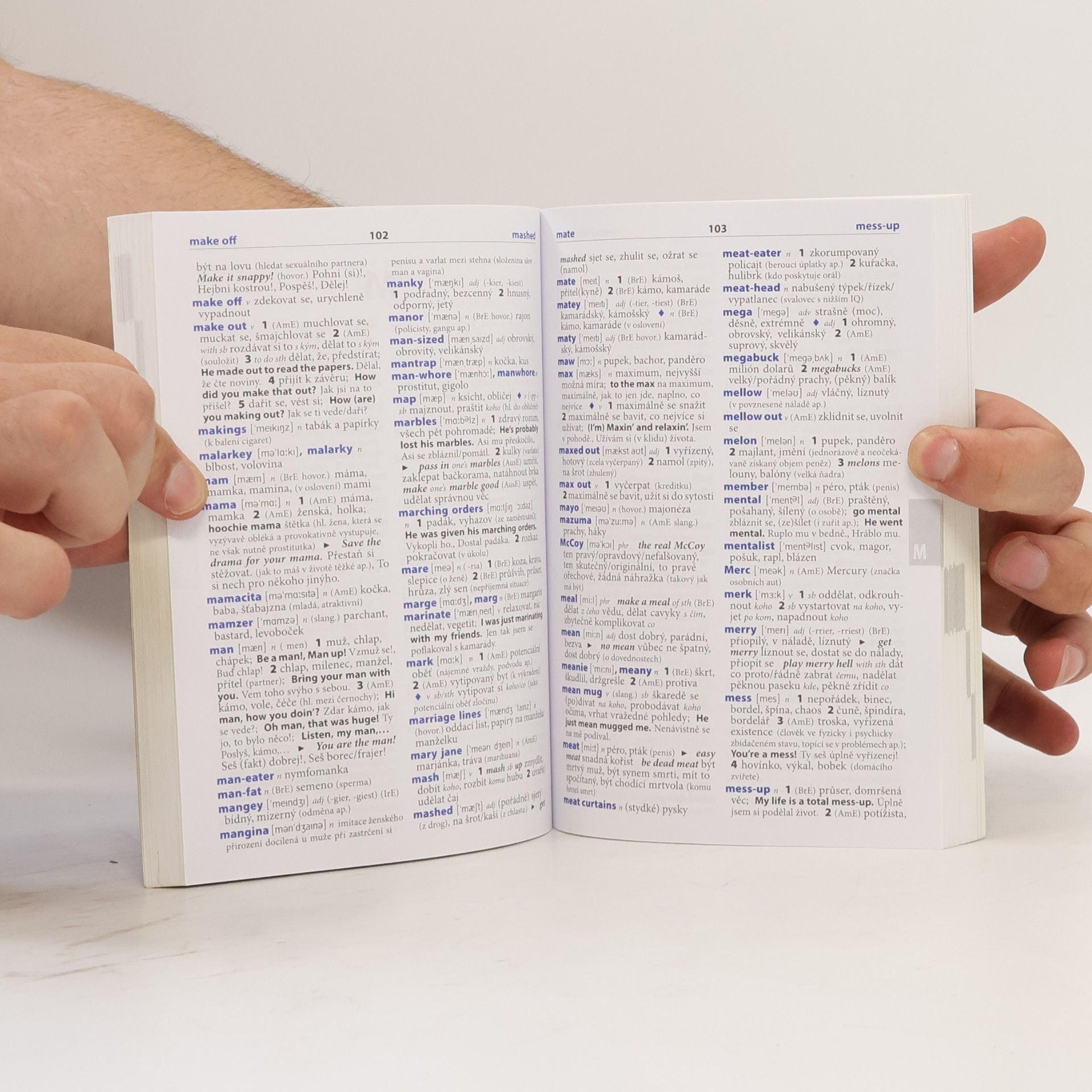 Autorenkollektiv Wazzup? : slovník slangu a hovorové angličtiny