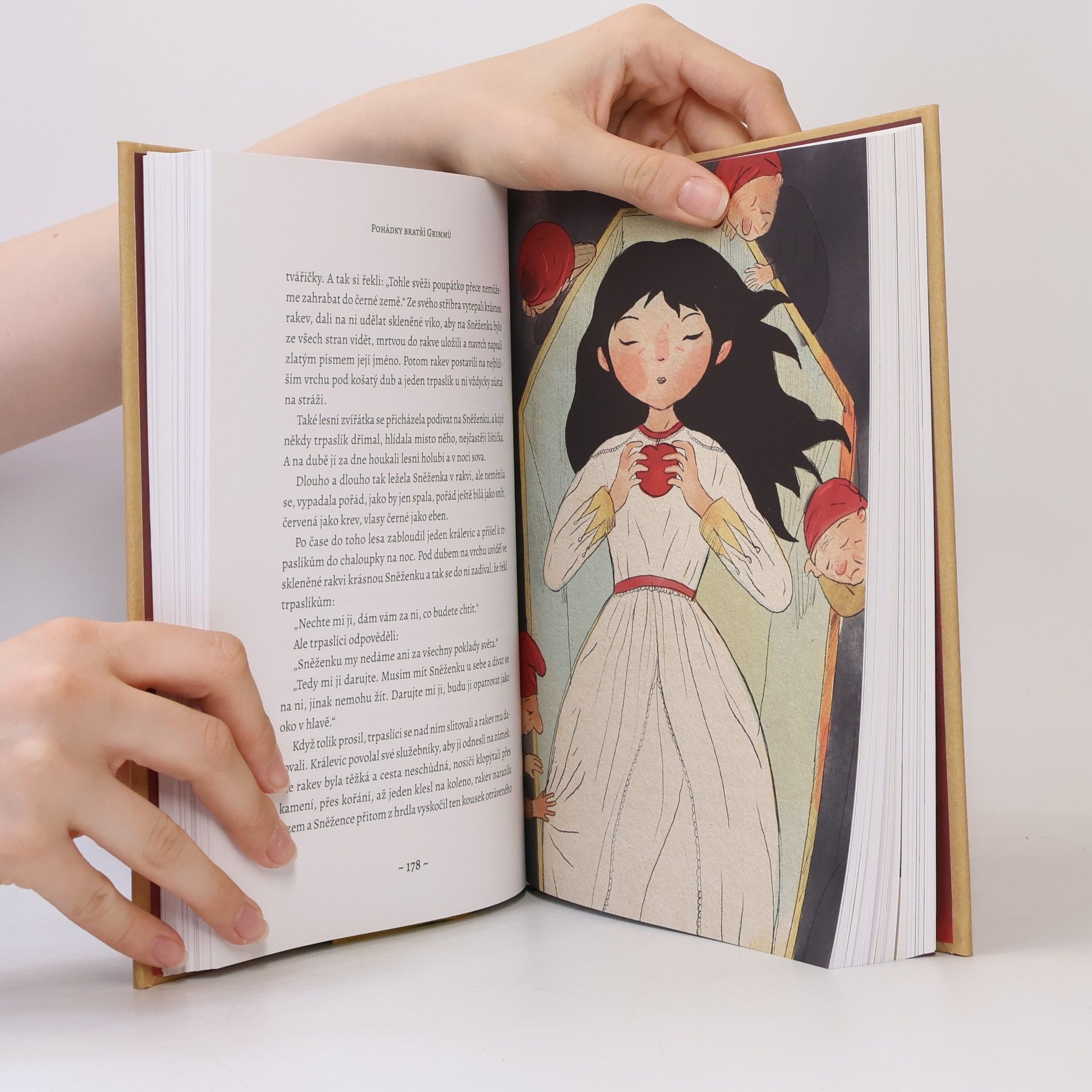 Jacob Grimm Pohádky bratří Grimmů