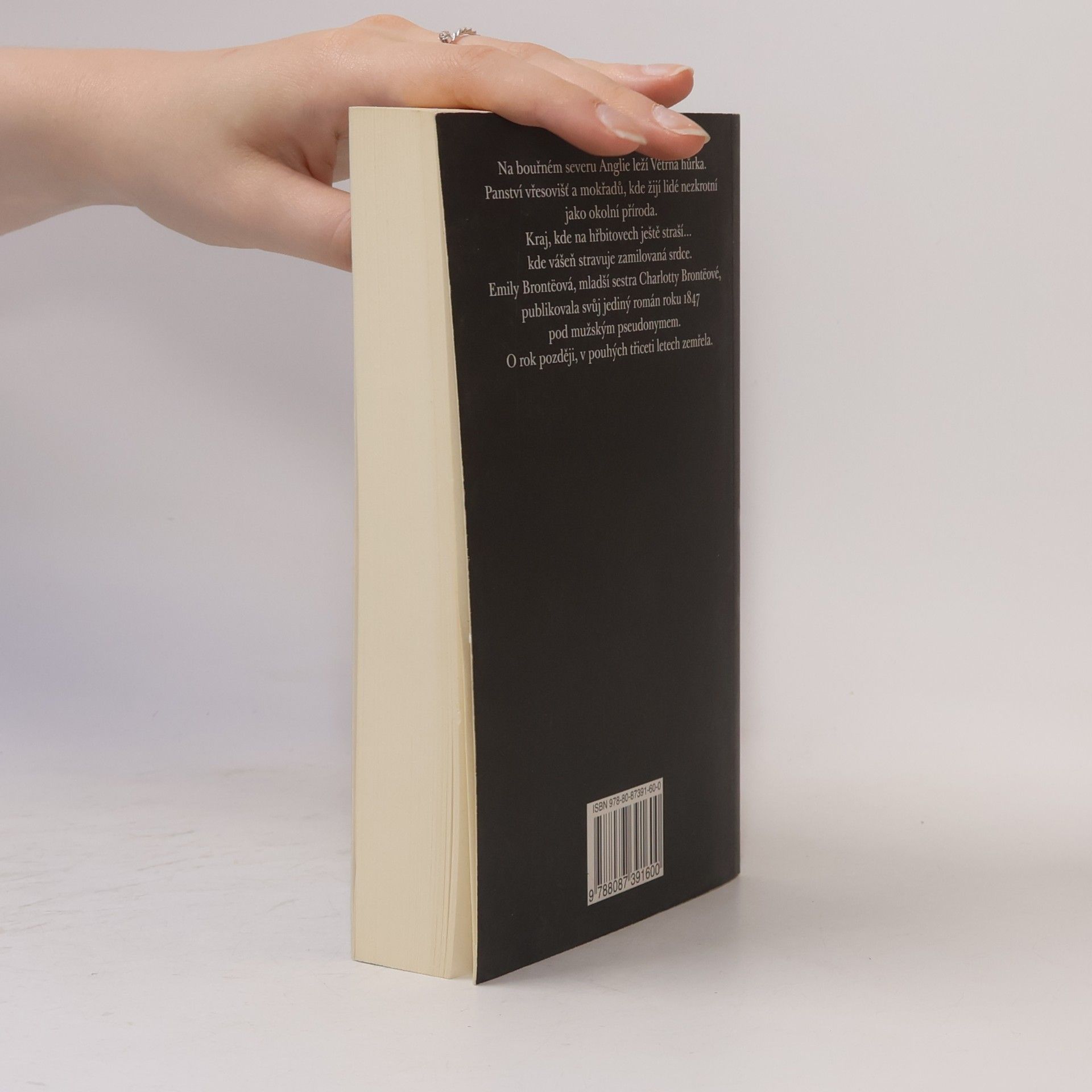 Emily Brontë Na větrné hůrce