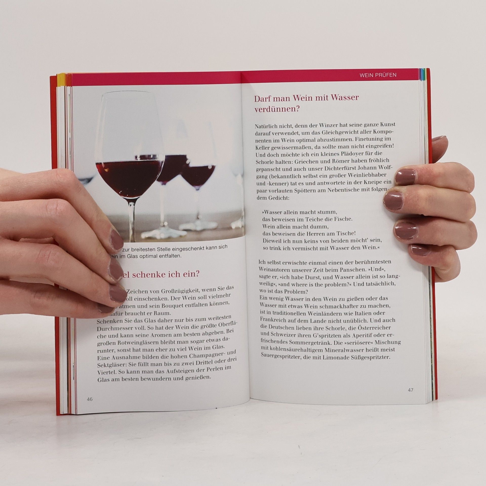 Beat Koelliker 100 Dinge, die Sie schon immer über Wein wissen wollten
