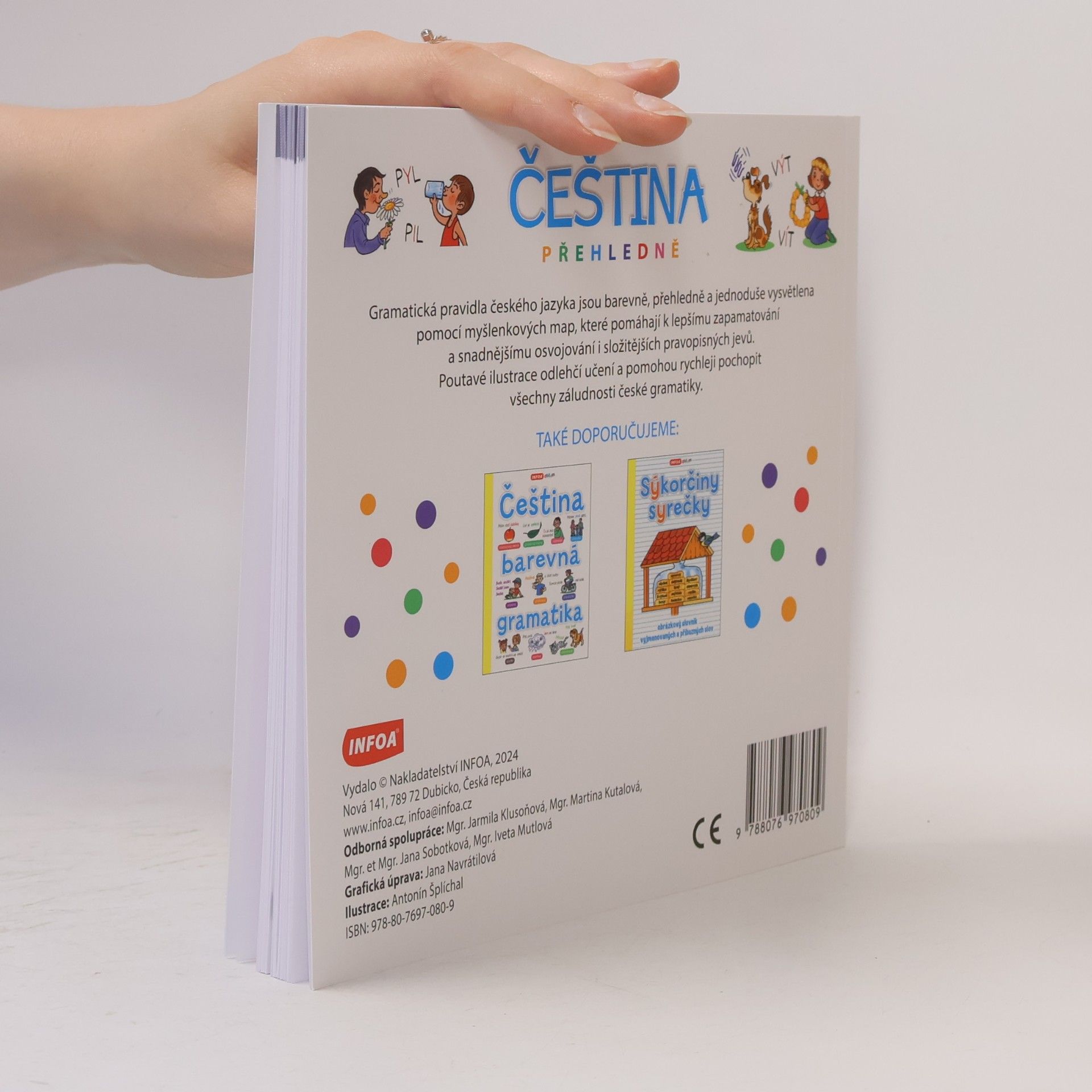 Autores varios Čeština přehledně