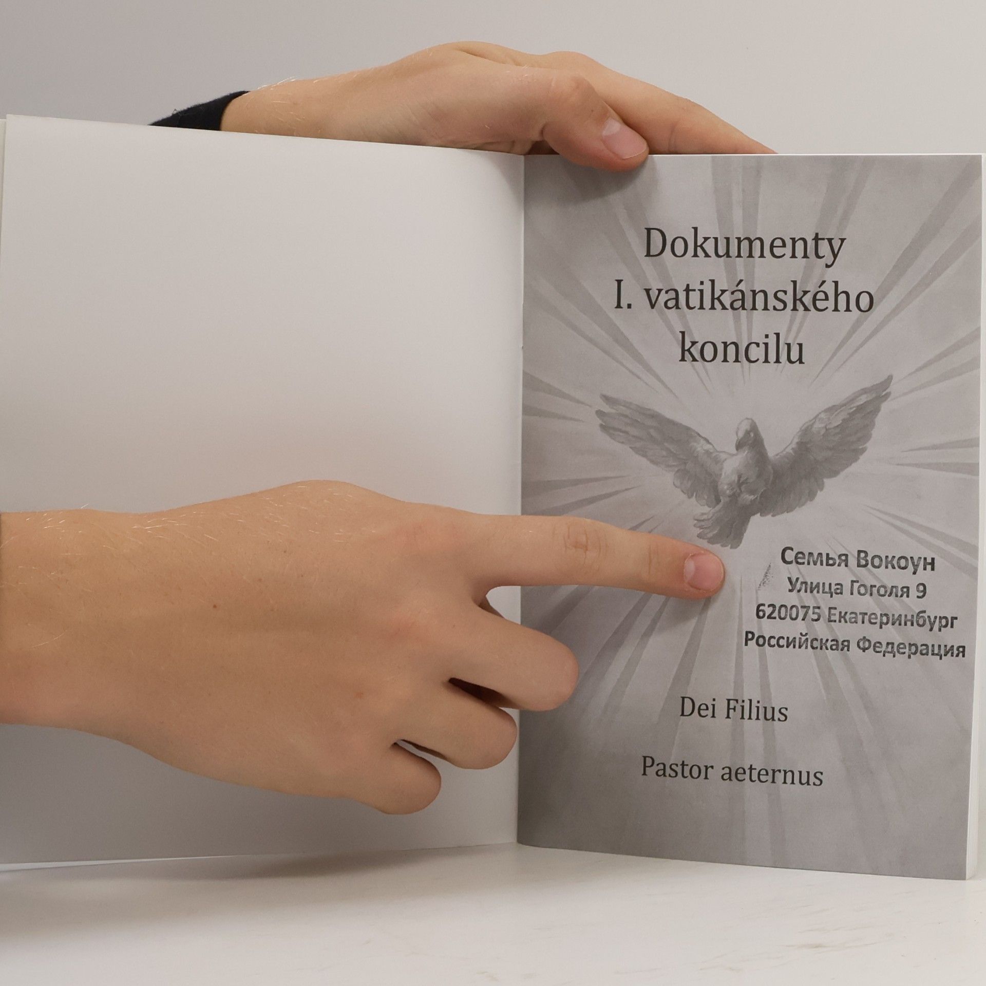 Kolektiv autorů Dokumenty I. vatikánského koncilu