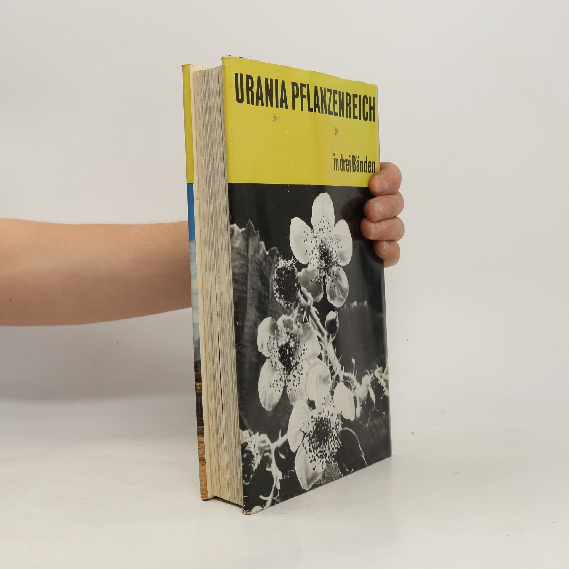 Autorenkollektiv Urania Pflanzenreich: Höhere Pflanzen 1