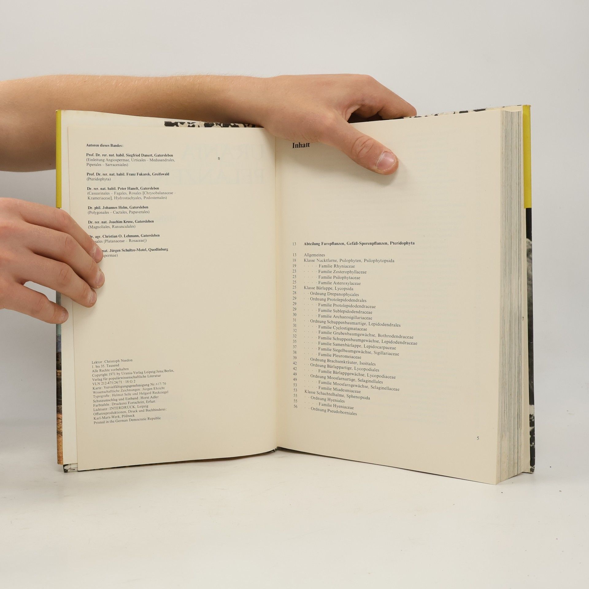 Autorenkollektiv Urania Pflanzenreich: Höhere Pflanzen 1