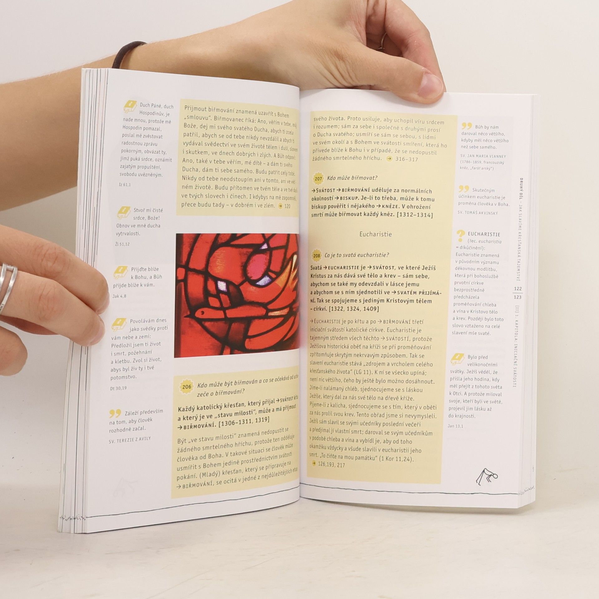 Various authors Youcat: katechismus katolické církve pro mladé