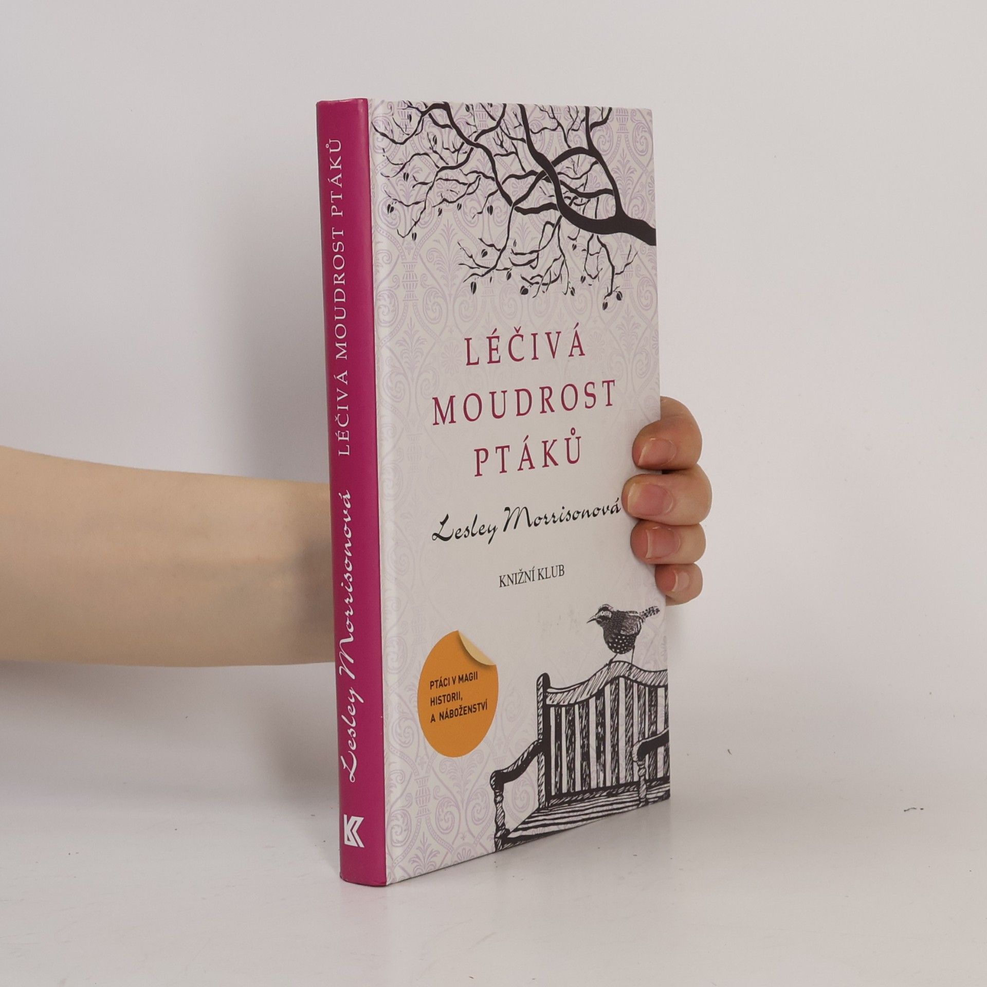 Lesley Morrison Léčivá moudrost ptáků : ptáci v magii, historii a náboženství