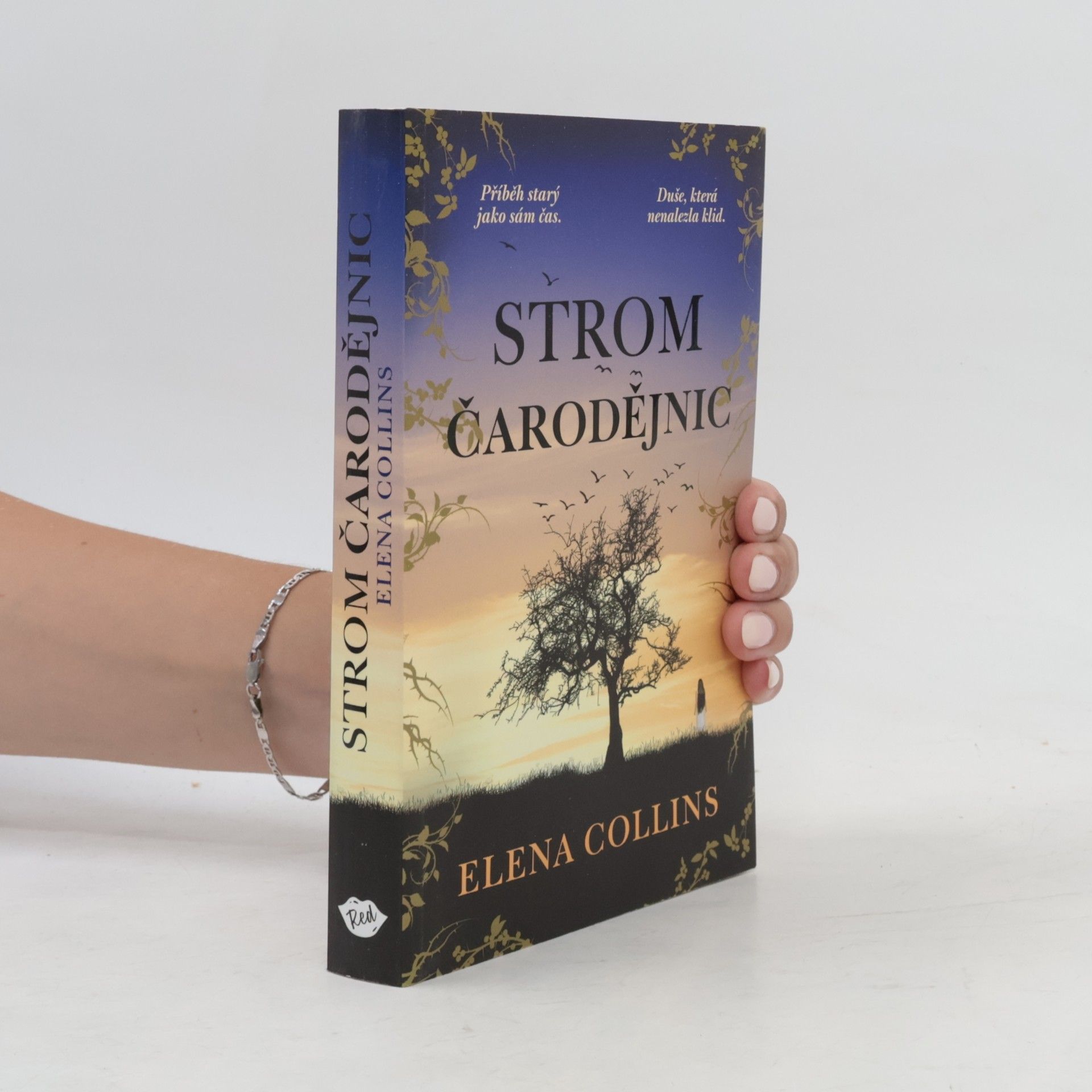 Judy Leigh Strom čarodějnic