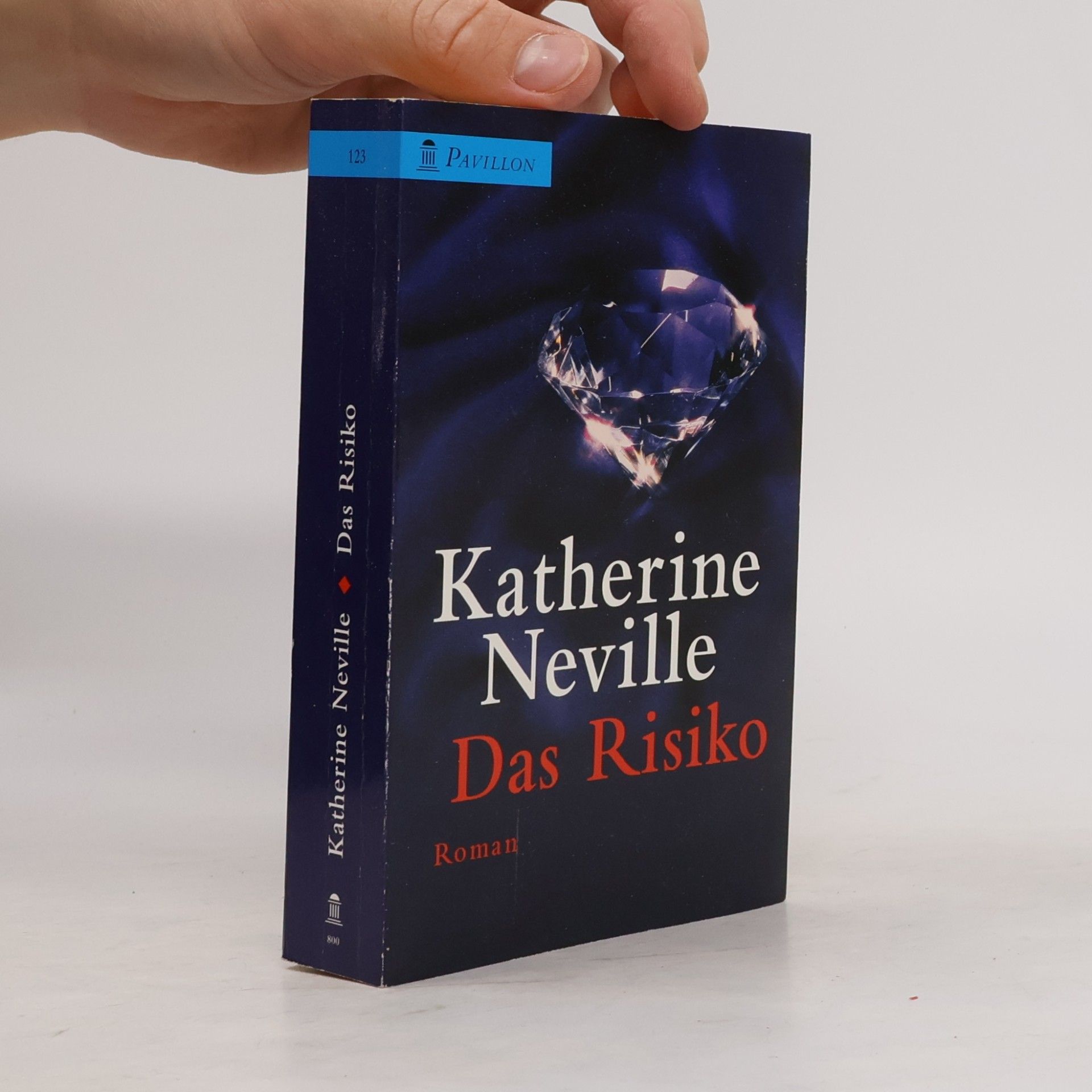 Katherine Neville Das Risiko