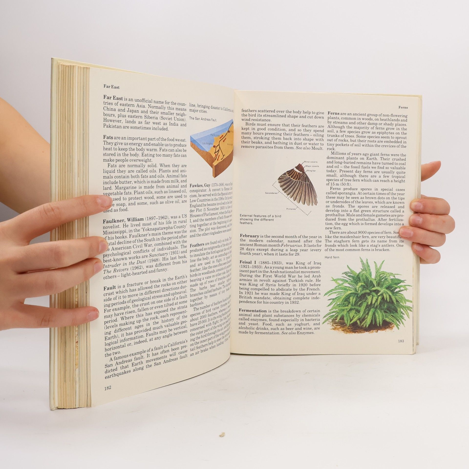 J. M. Bailie Giant Book of Knowledge