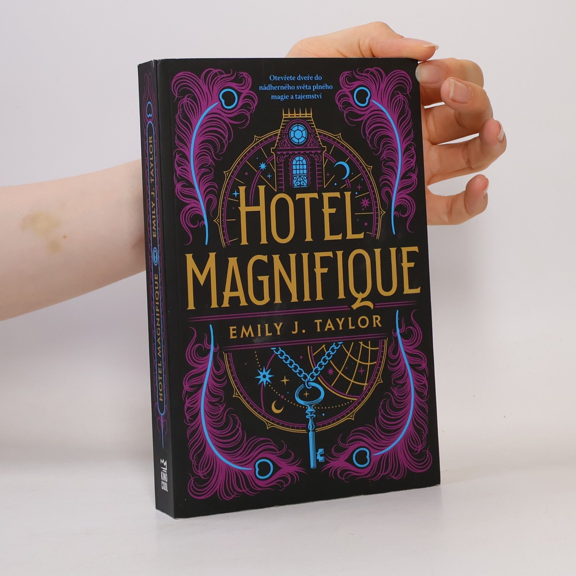 Emily J. Taylor Hotel Magnifique