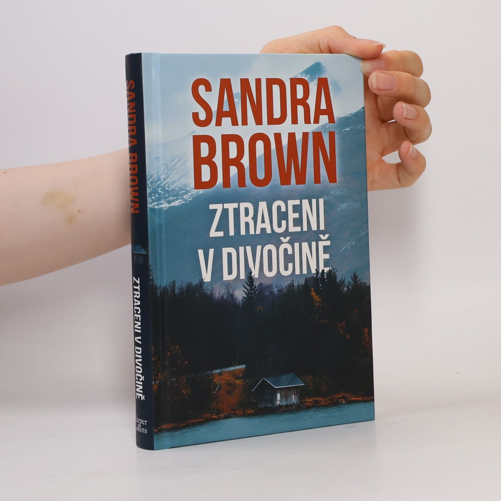 Sandra Brown Ztraceni v divočině