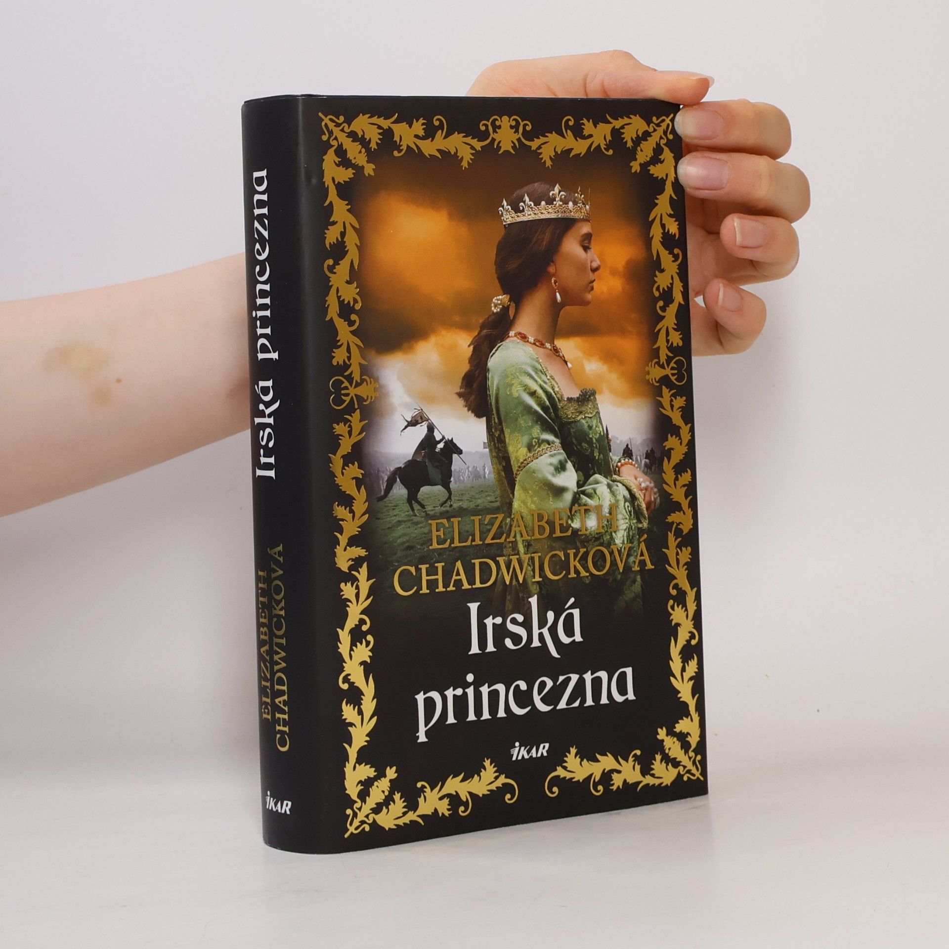 Elizabeth Chadwick Irská princezna