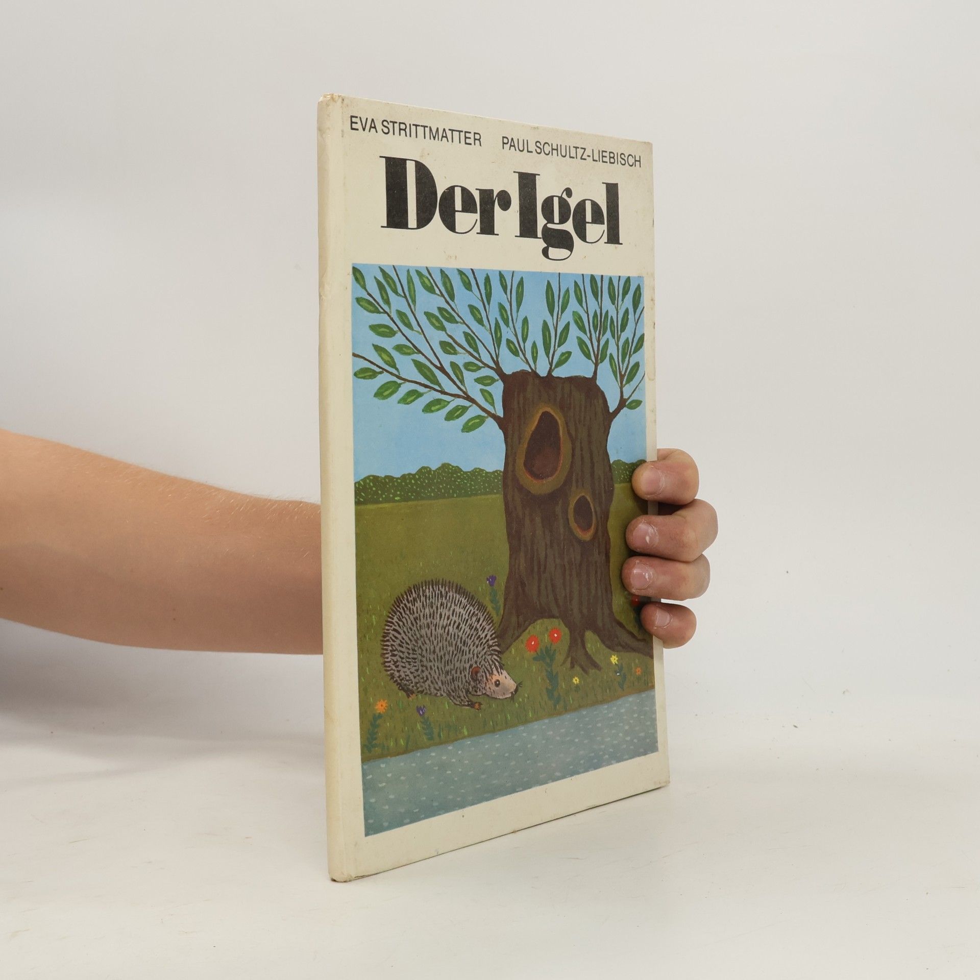 Der Igel