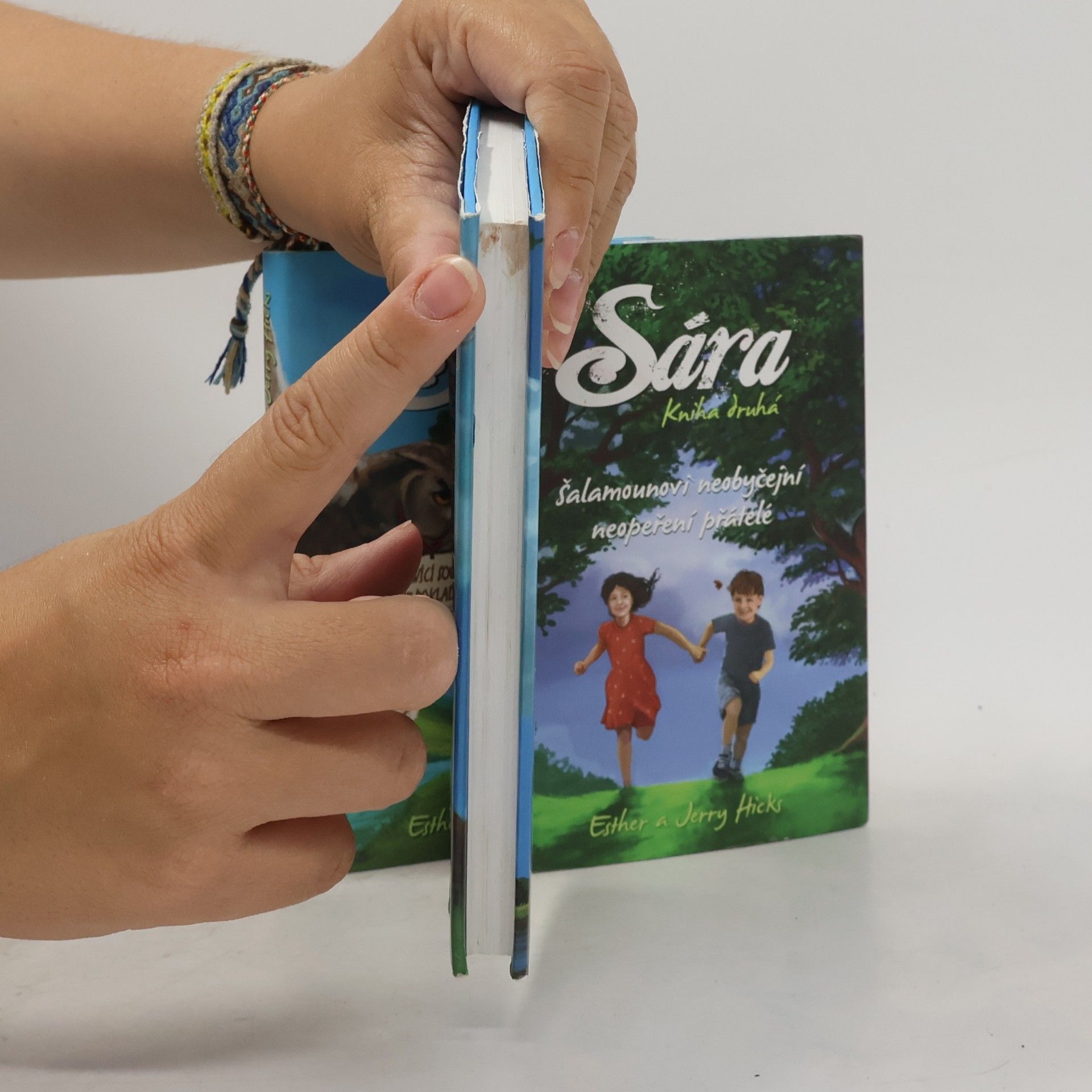 Esther Hicks Sára. Kniha první, O věčném přátelství dvou blízkých duší