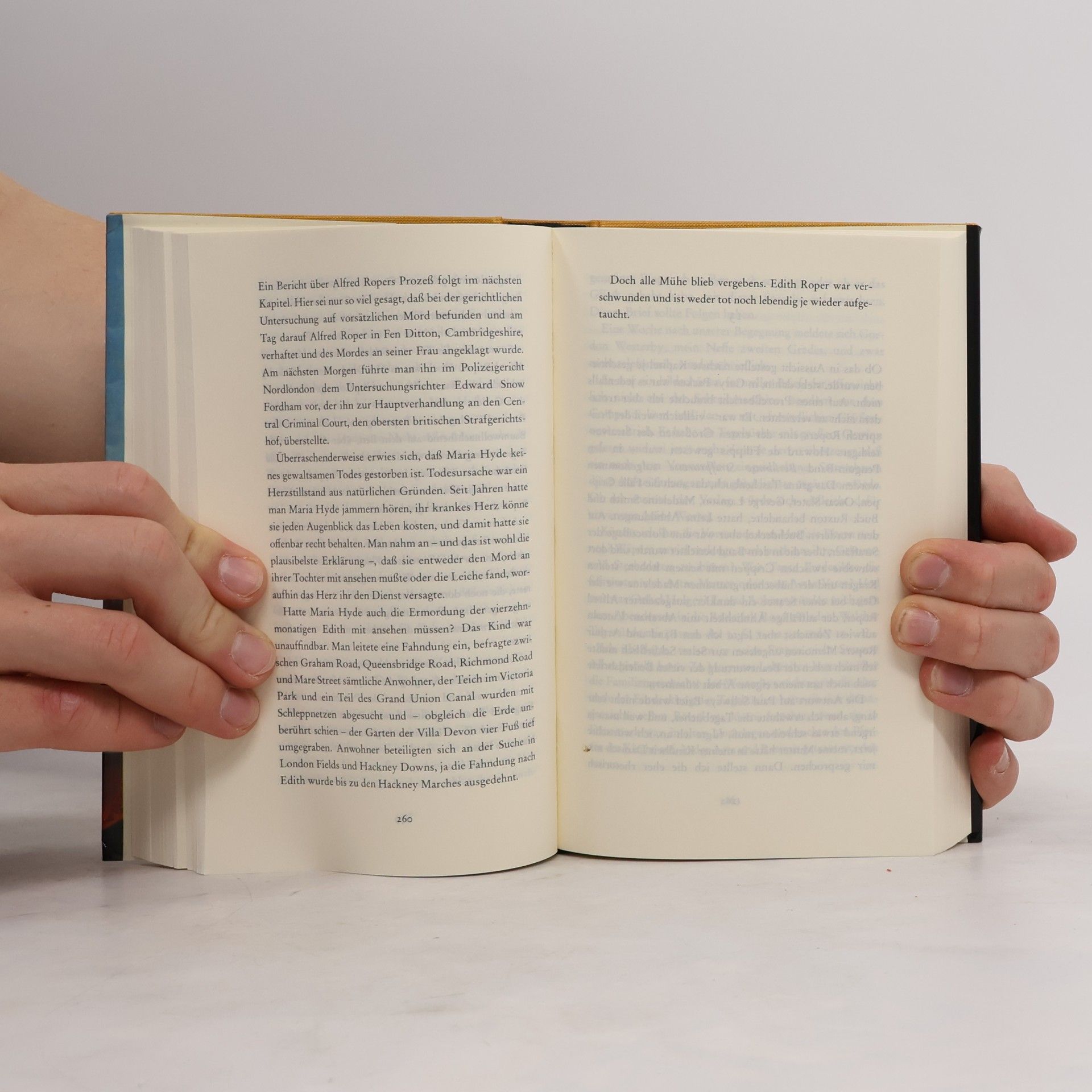 Ruth Rendell Astas Tagebuch