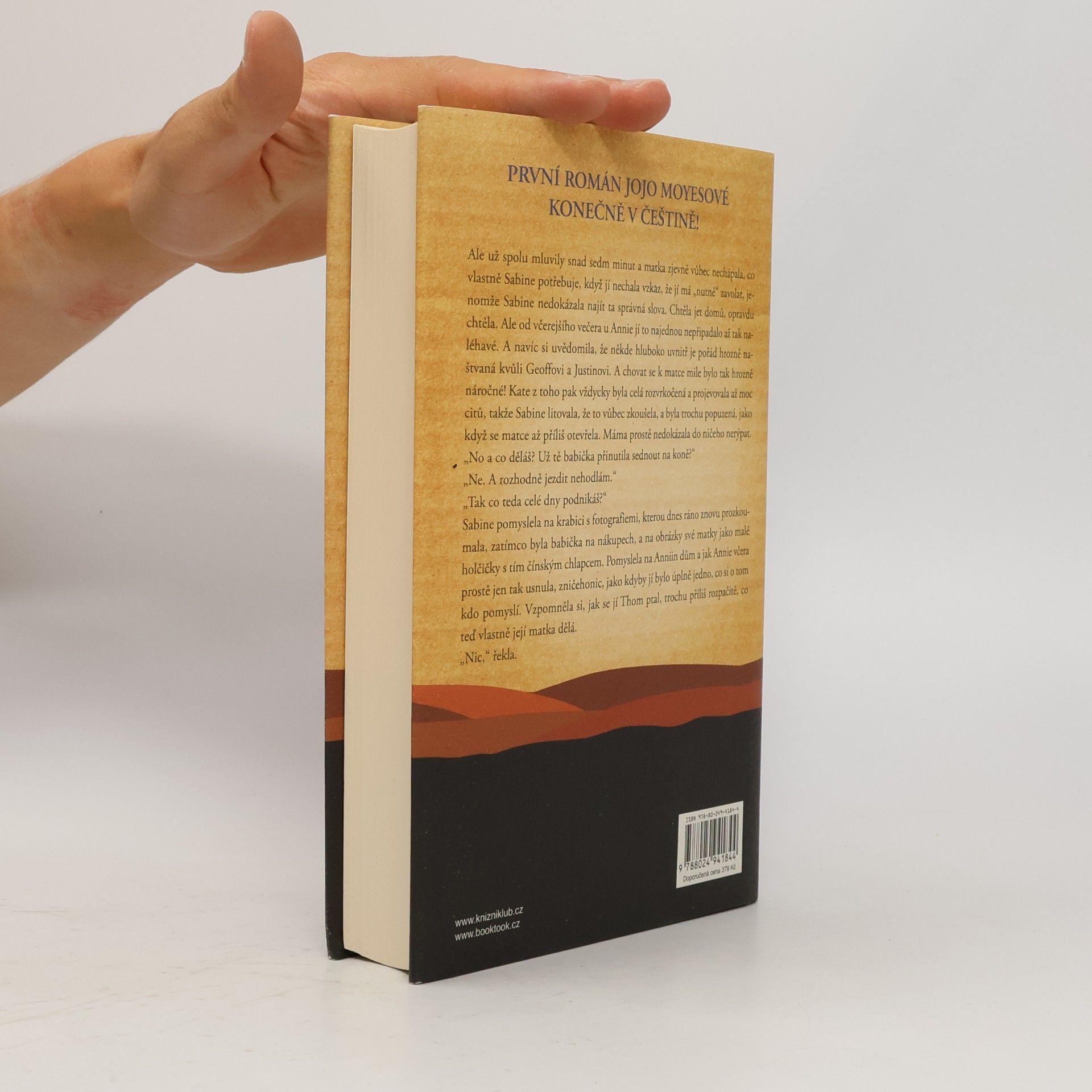 Jojo Moyes Schovej mě v dešti