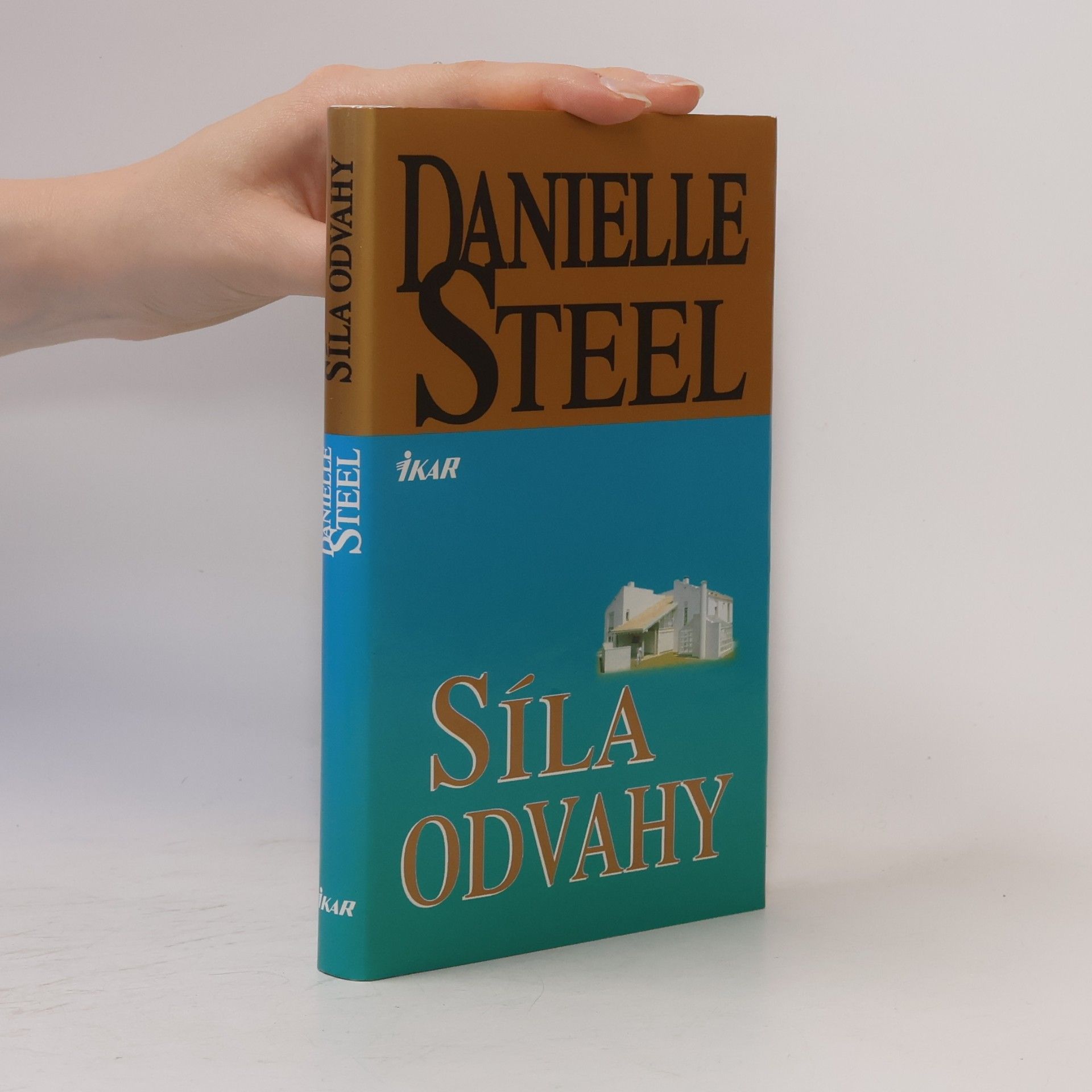 Danielle Steel Síla odvahy