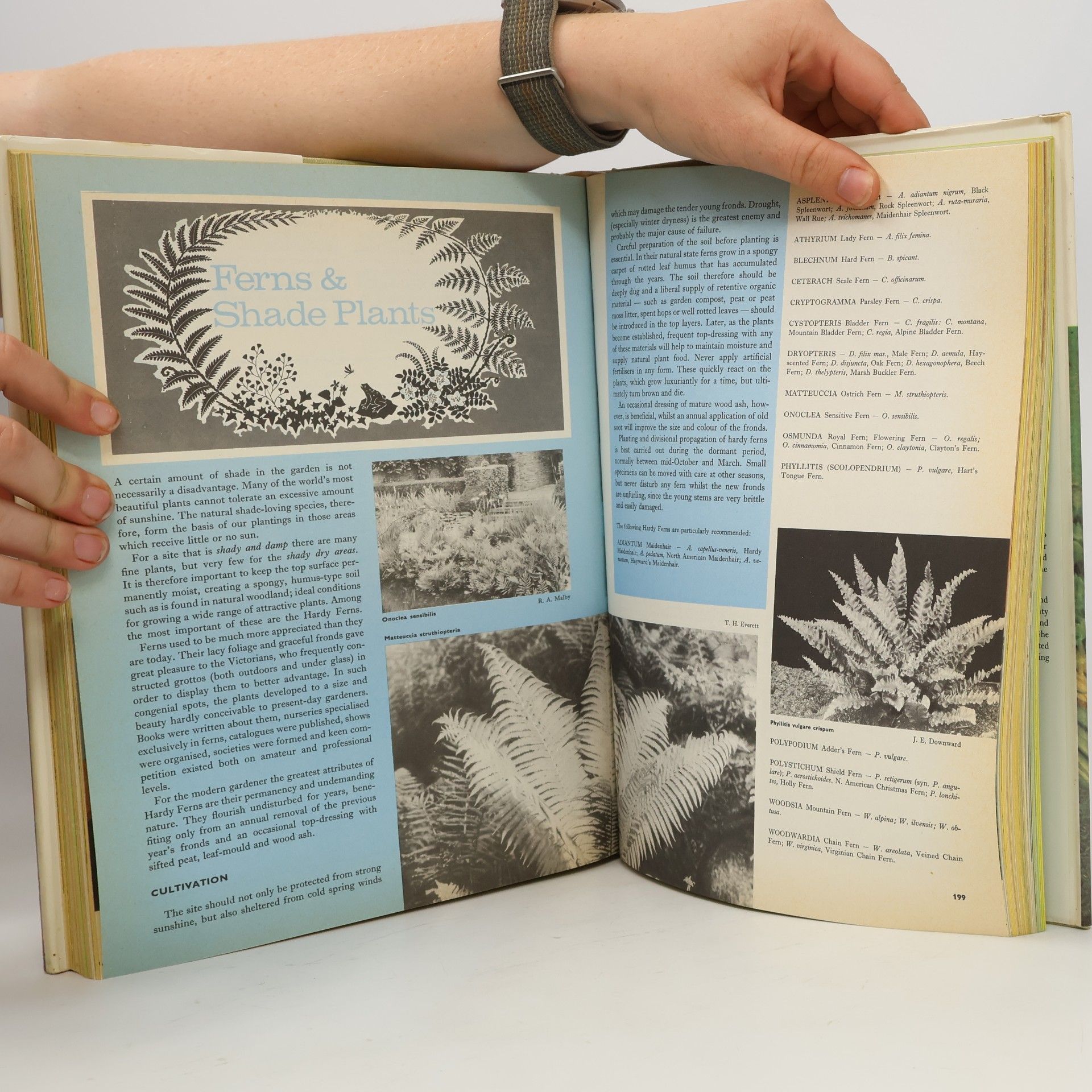 Frances Perry Gardening in colour. An illustrated encyclopedia for every gardener.