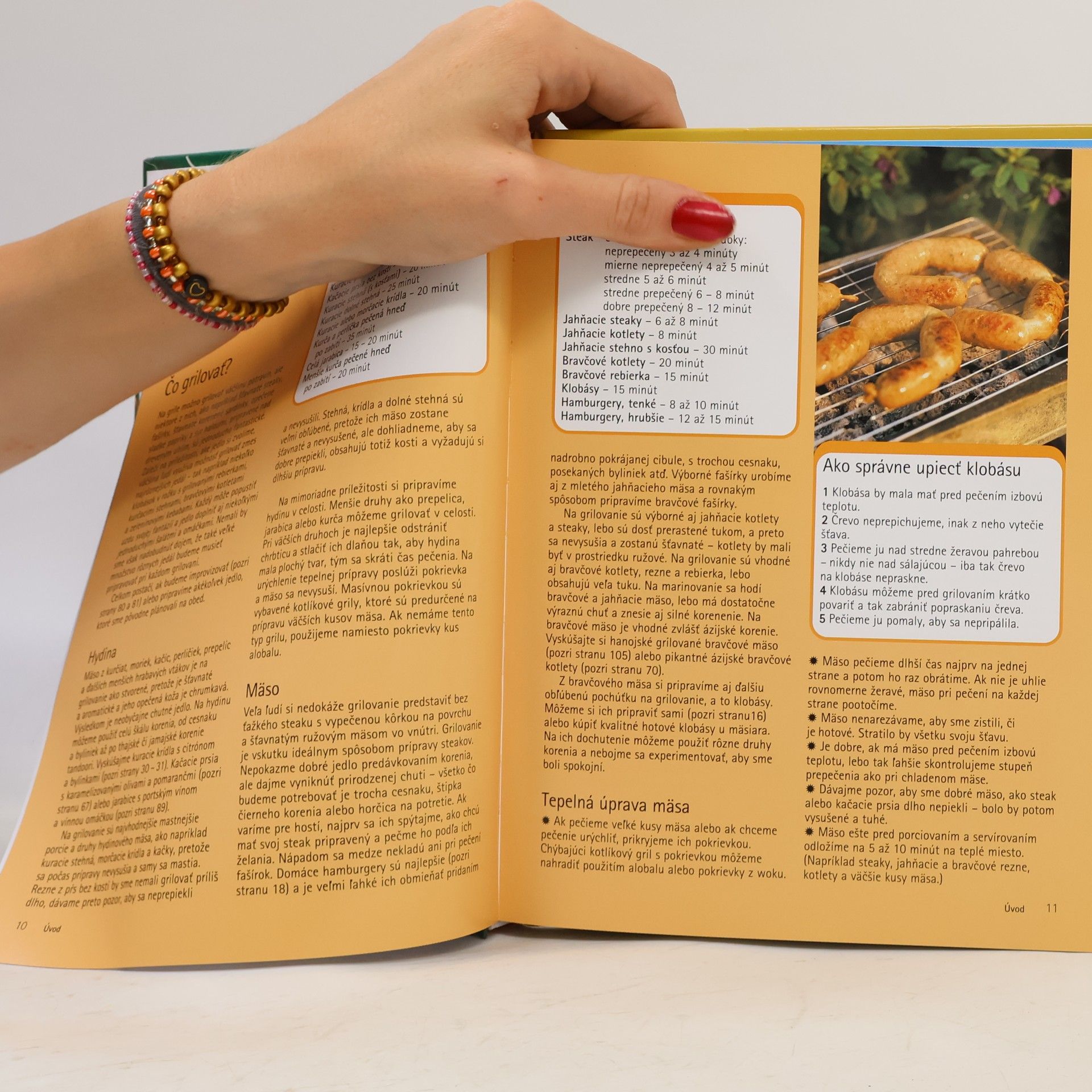 Autores varios Ottova kuchárka - Grilovanie