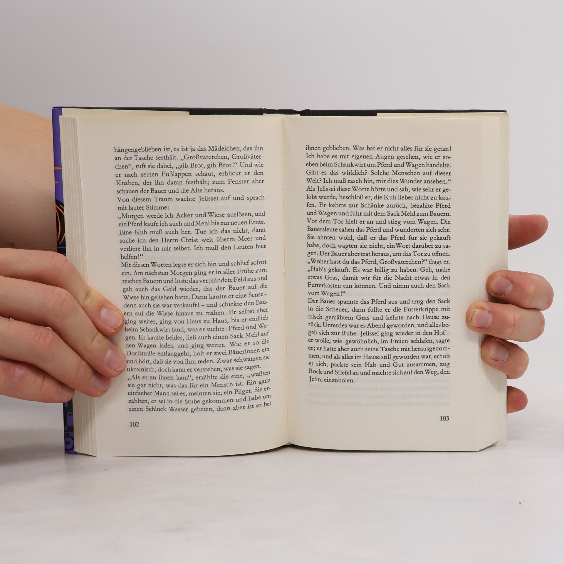 Léon Tolstoï Die schönsten Erzählungen von Tolstoi