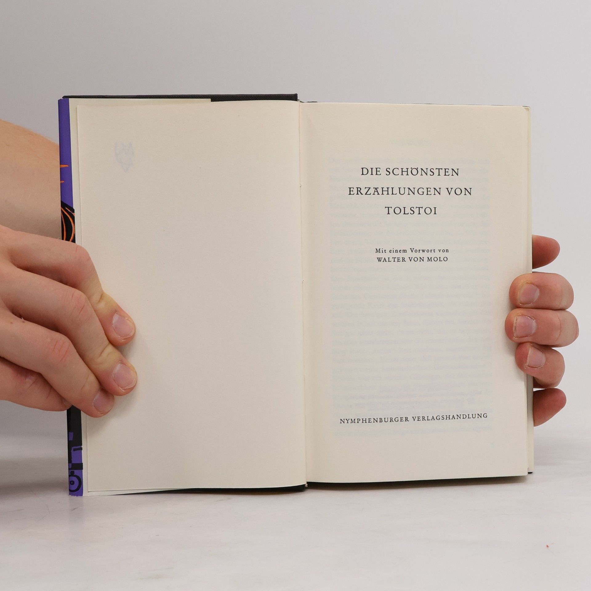Léon Tolstoï Die schönsten Erzählungen von Tolstoi