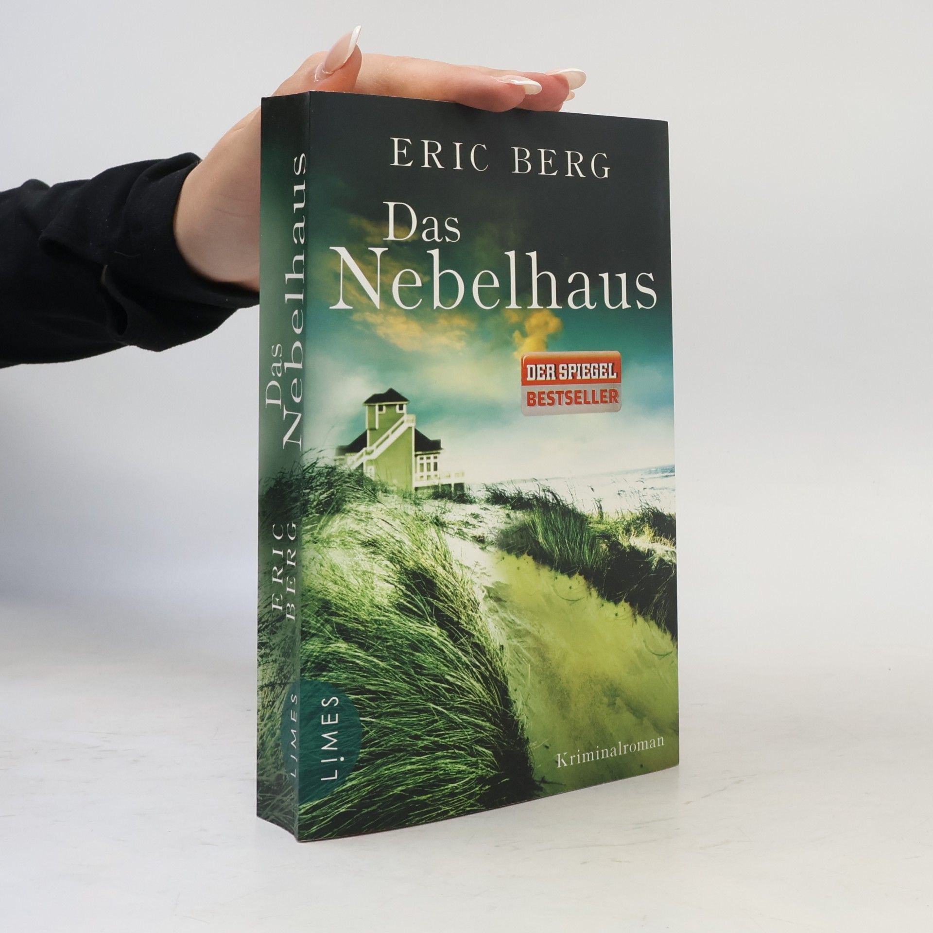 Eric Berg Das Nebelhaus