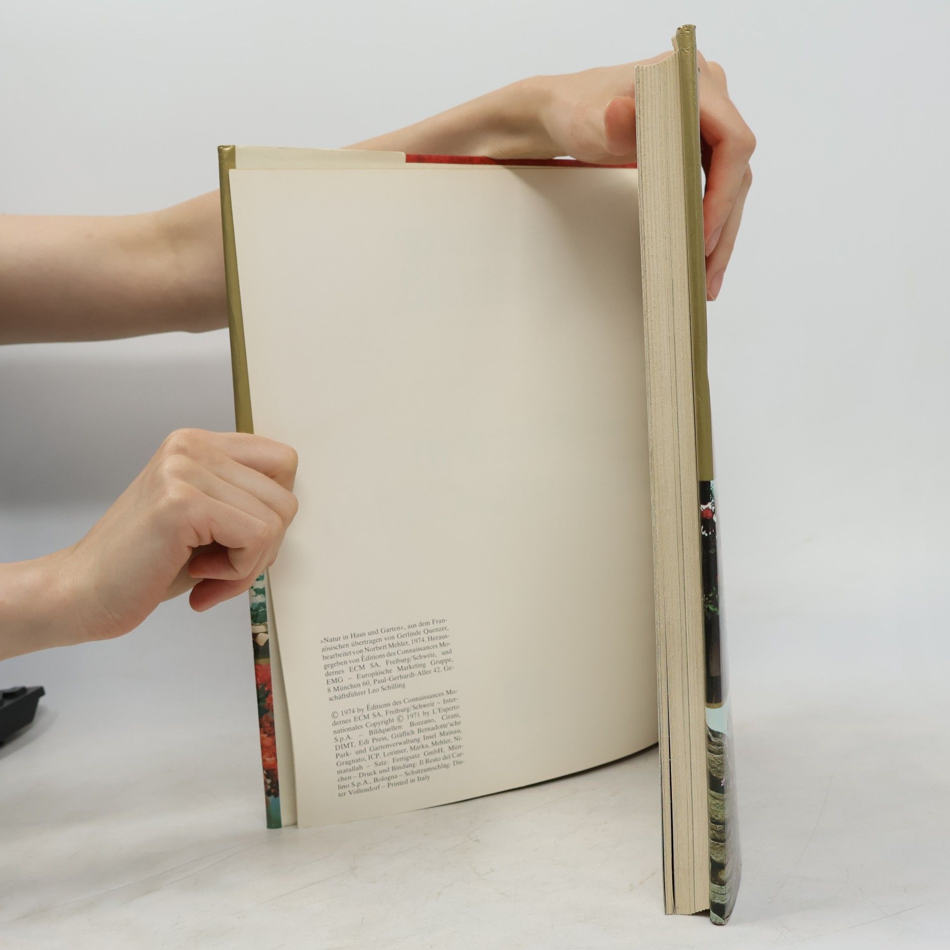 Autores varios Natur in Haus und Garten 5