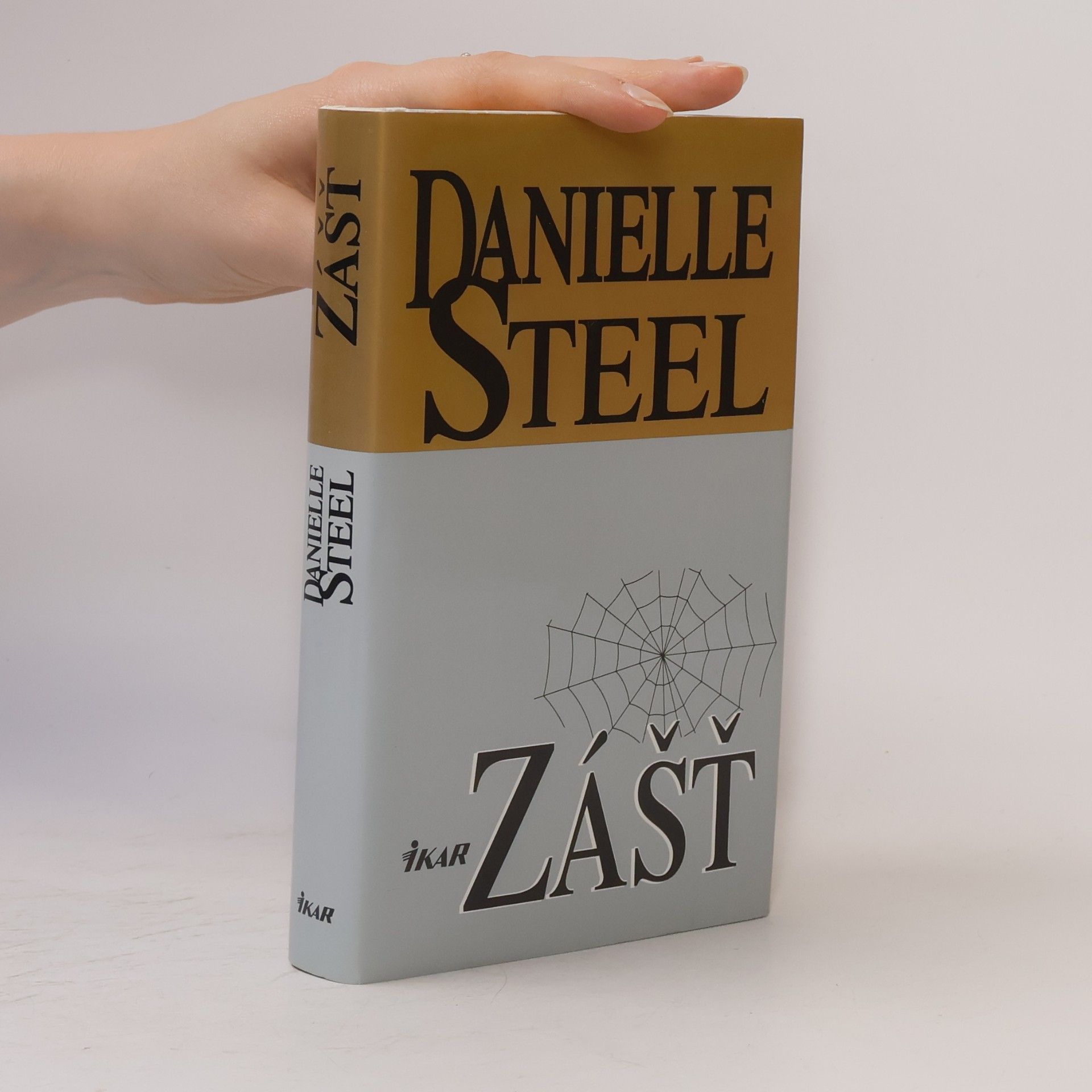 Danielle Steel Zášť