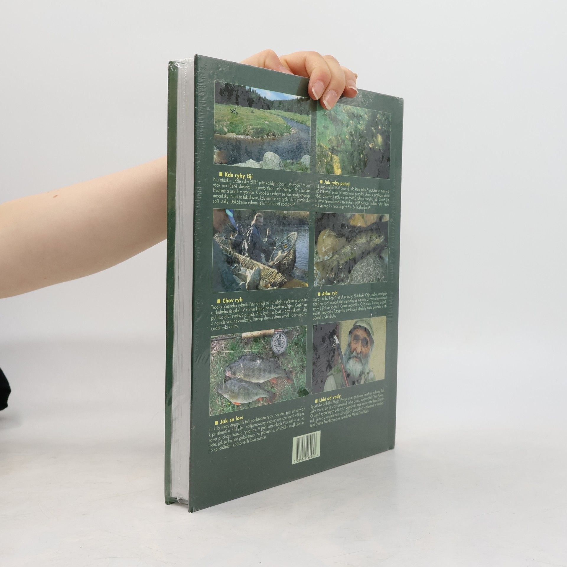 Collectif d'auteurs Ryby a rybolov v našich vodách