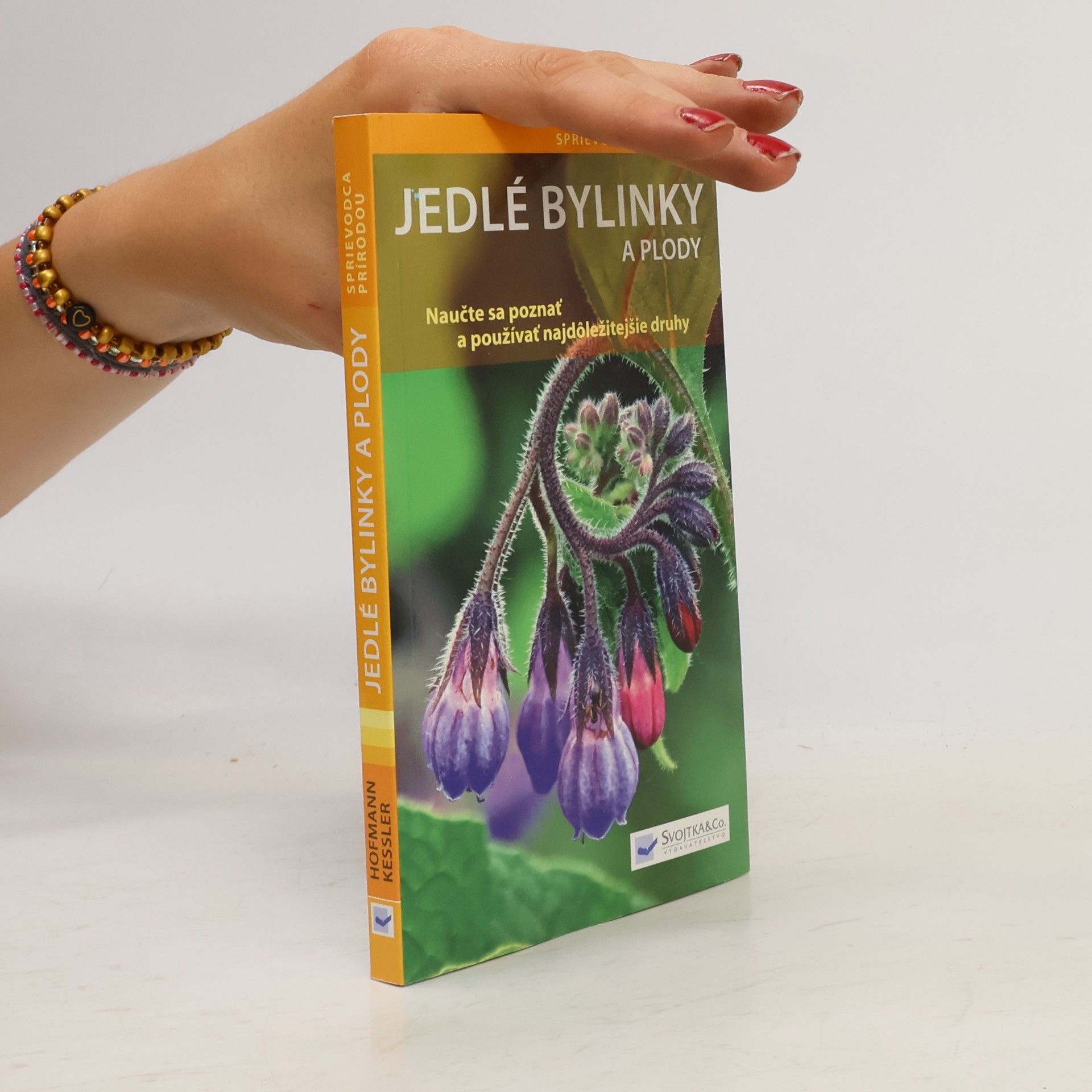 Autorenkollektiv Jedlé bylinky a plody