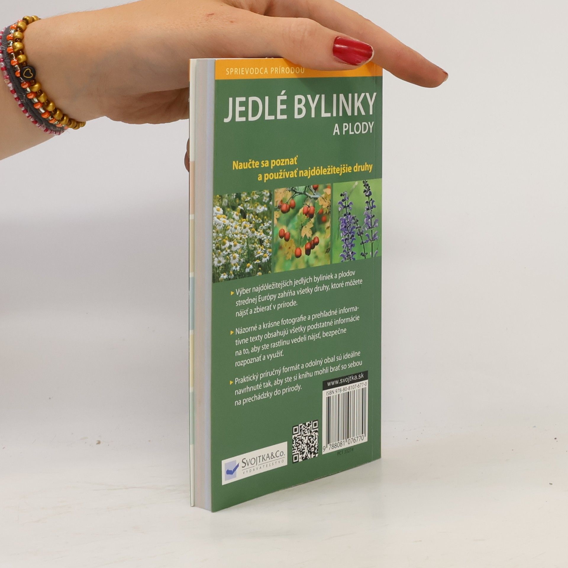 Autorenkollektiv Jedlé bylinky a plody