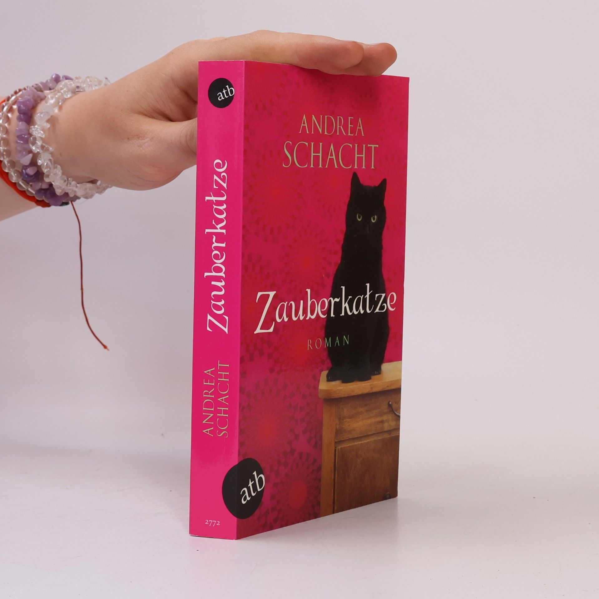 Andrea Schacht Zauberkatze