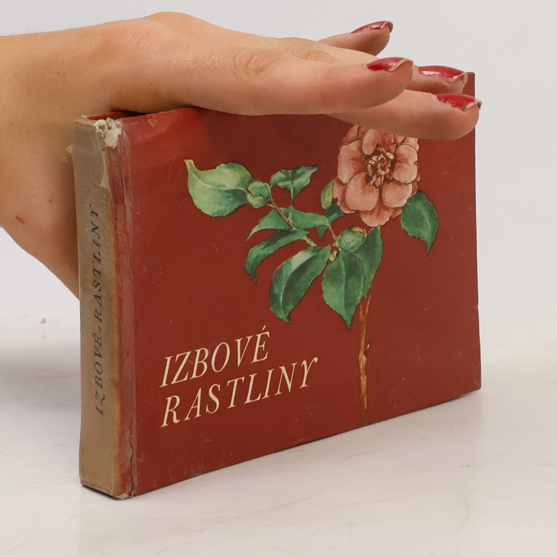 Blanka Votavová Izbové rastliny