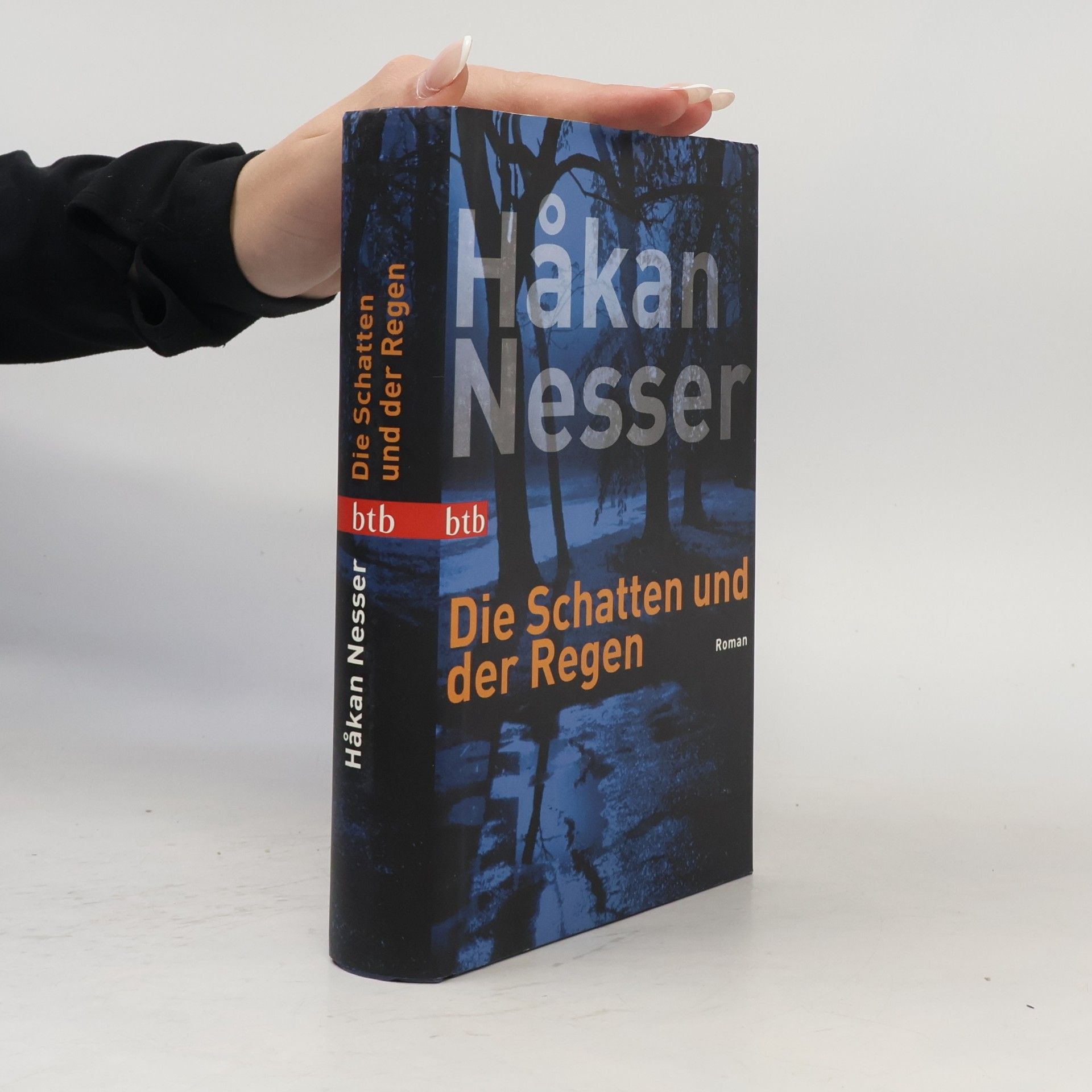 Håkan Nesser Die Schatten und der Regen