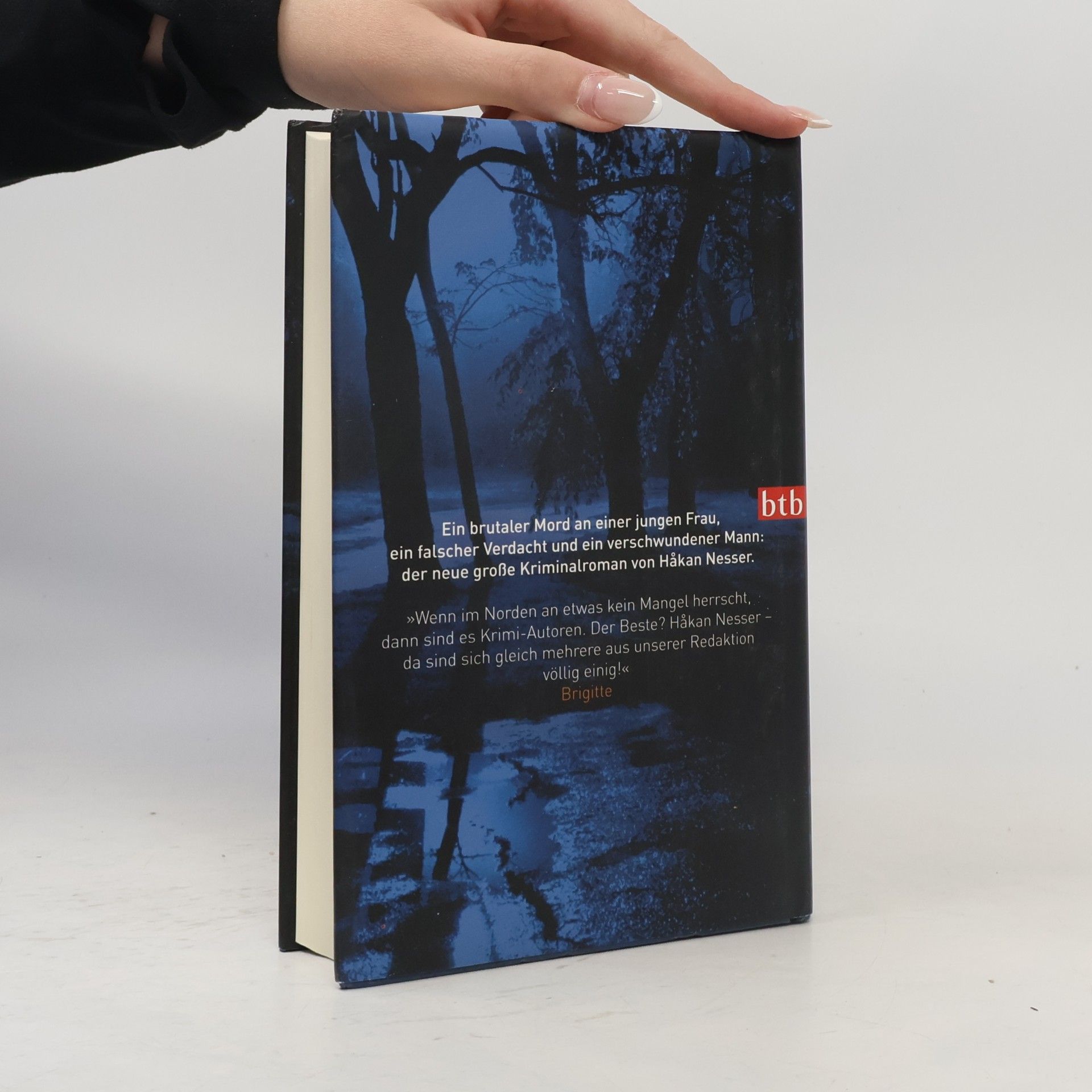 Håkan Nesser Die Schatten und der Regen