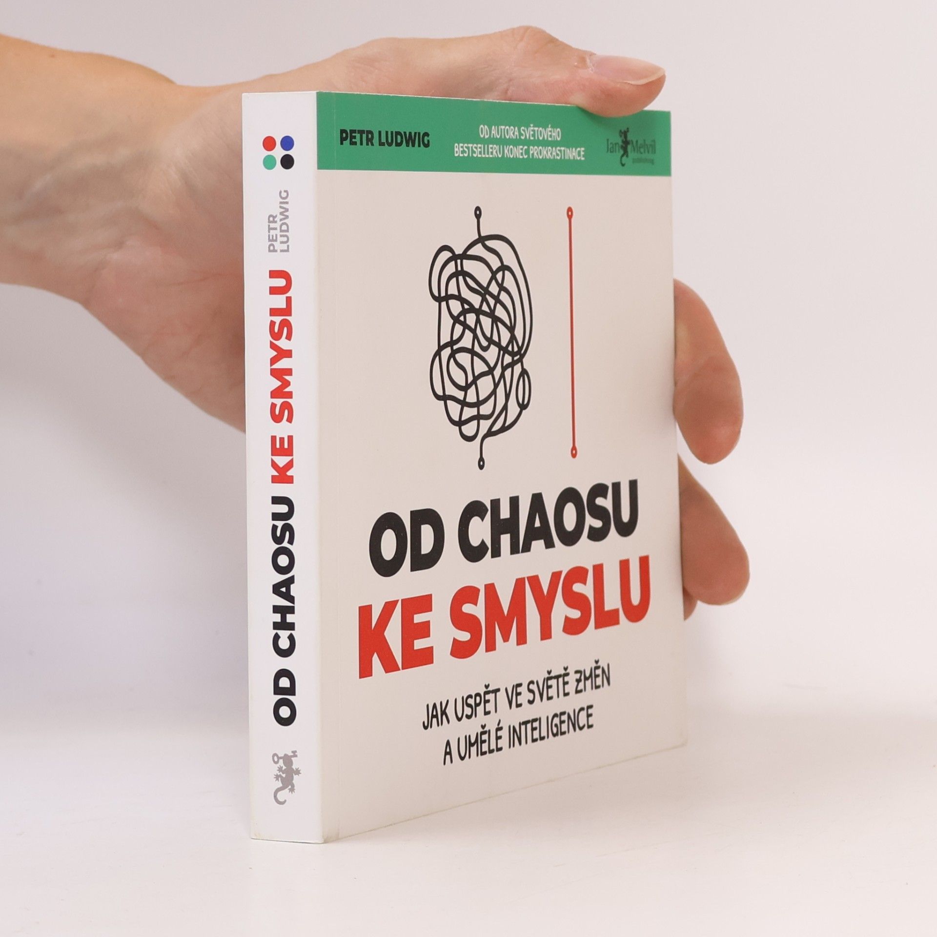 Petr Ludwig Od chaosu ke smyslu