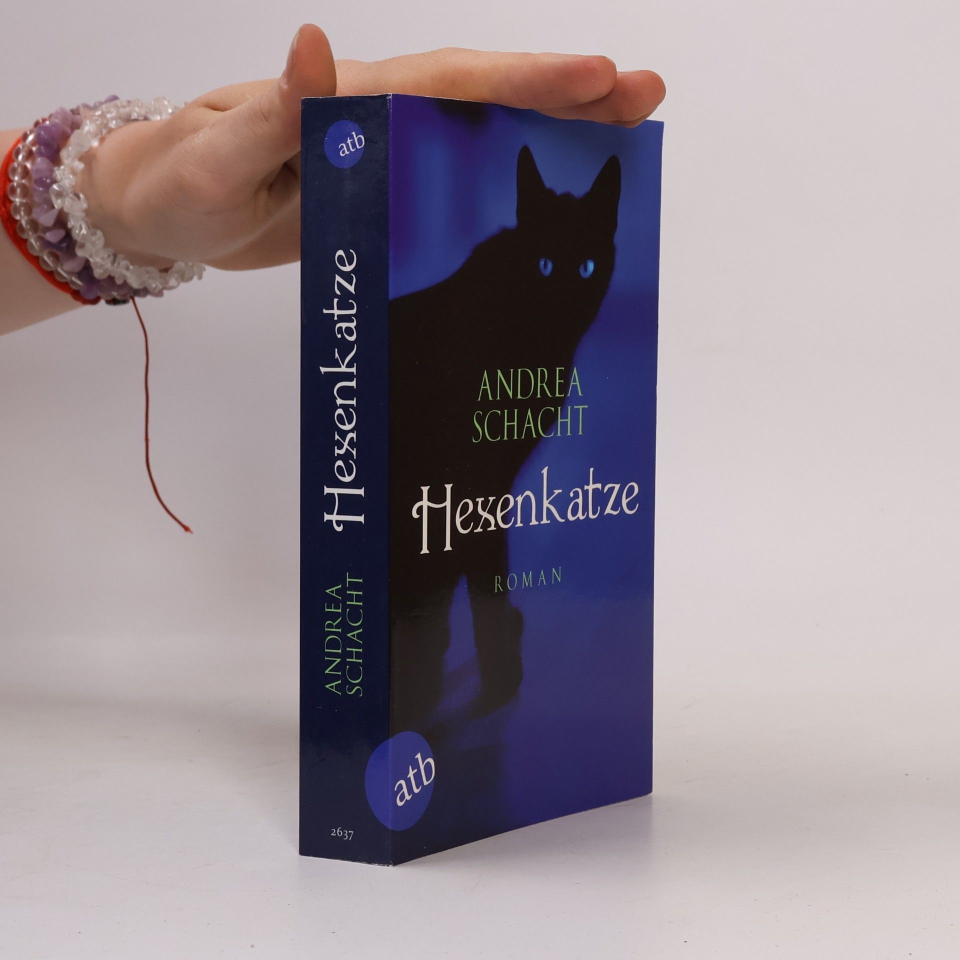 Andrea Schacht Hexenkatze