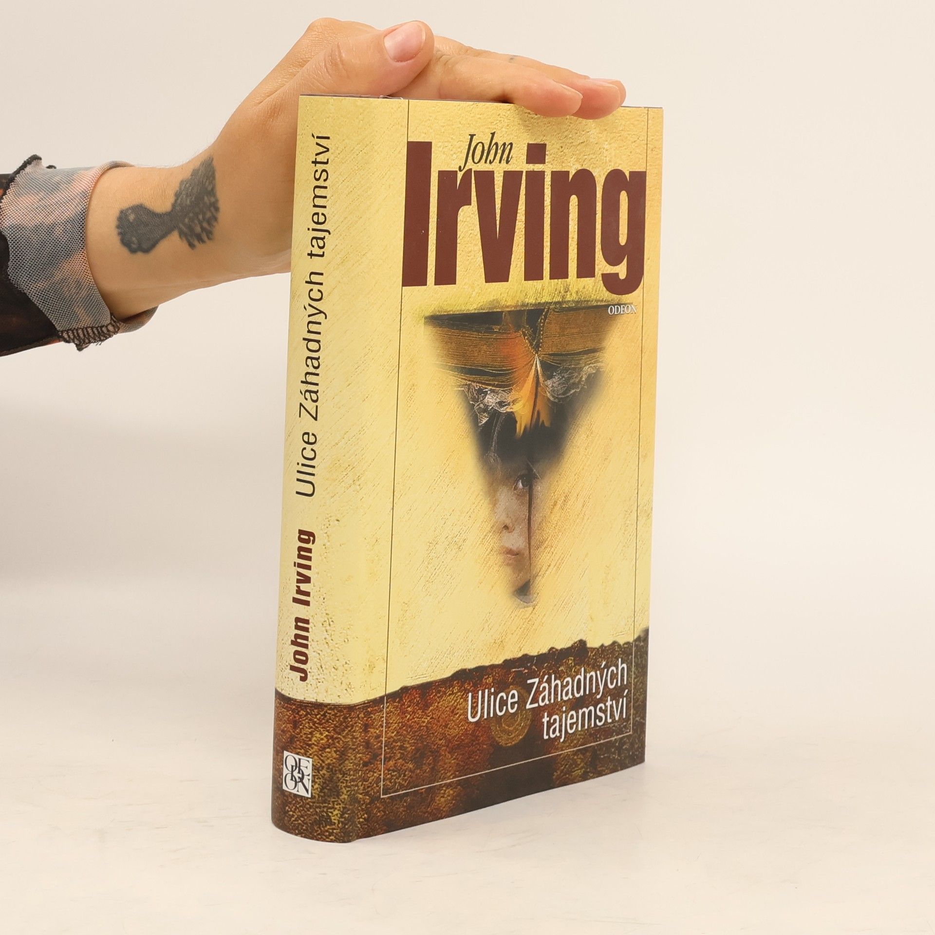 John Irving Ulice Záhadných tajemství