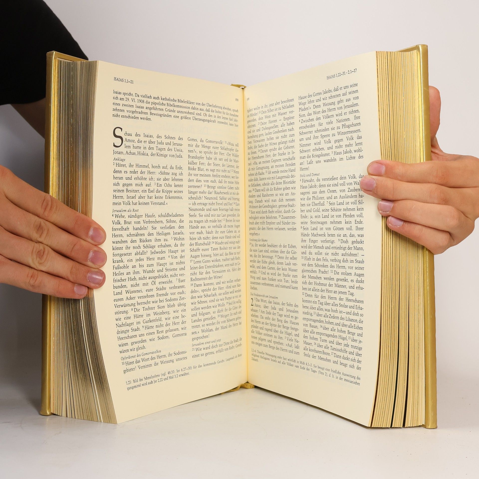 Josef Kürzinger Die Bibel