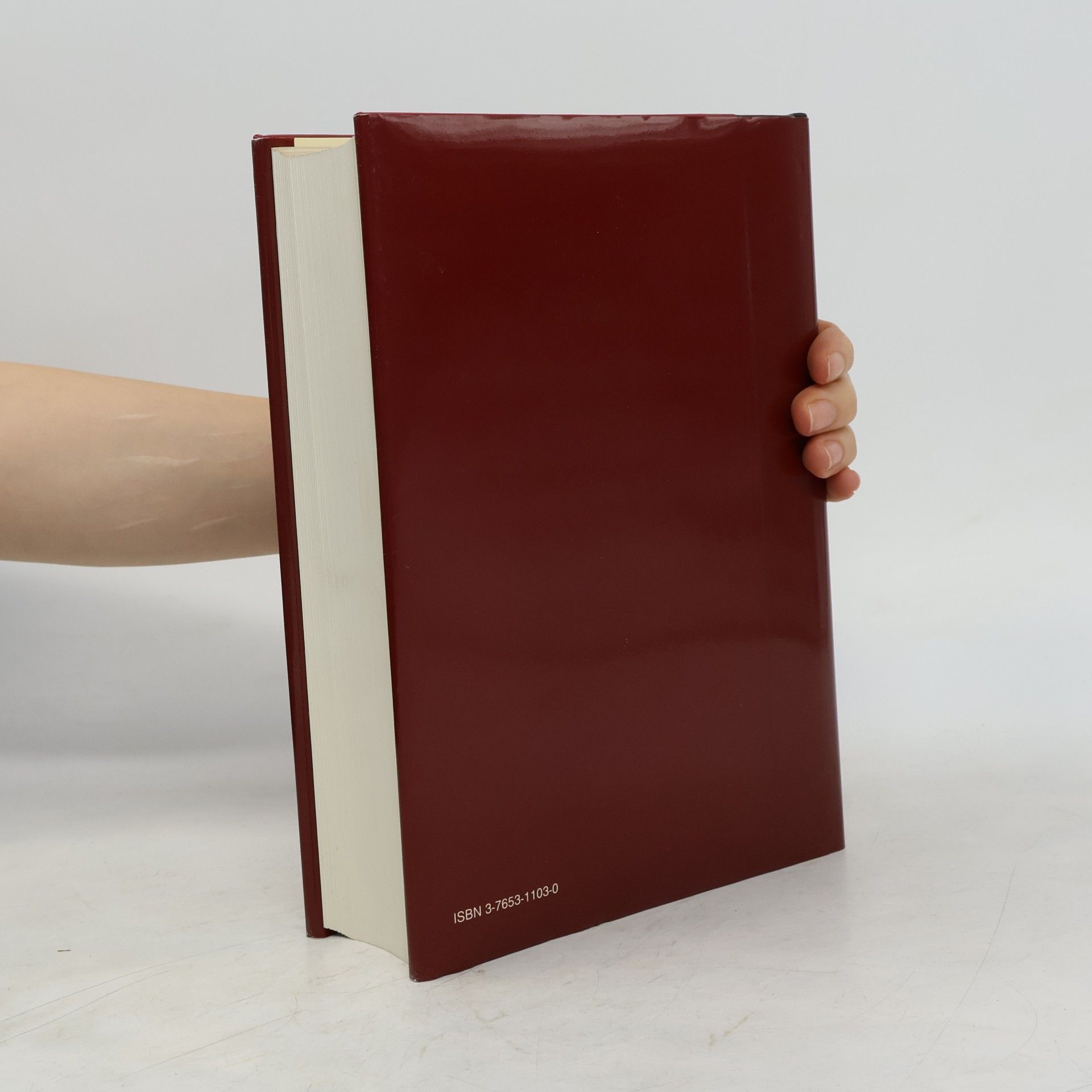 Autorenkollektiv Brockhaus Enzyklopädie 3. BED-BRN