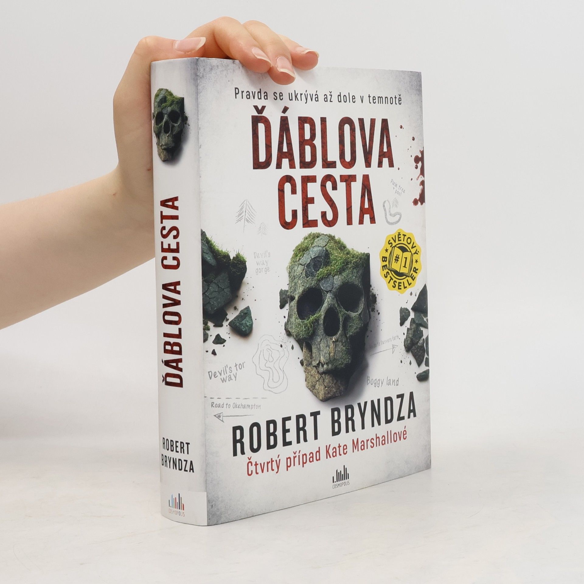 Robert Bryndza Ďáblova cesta
