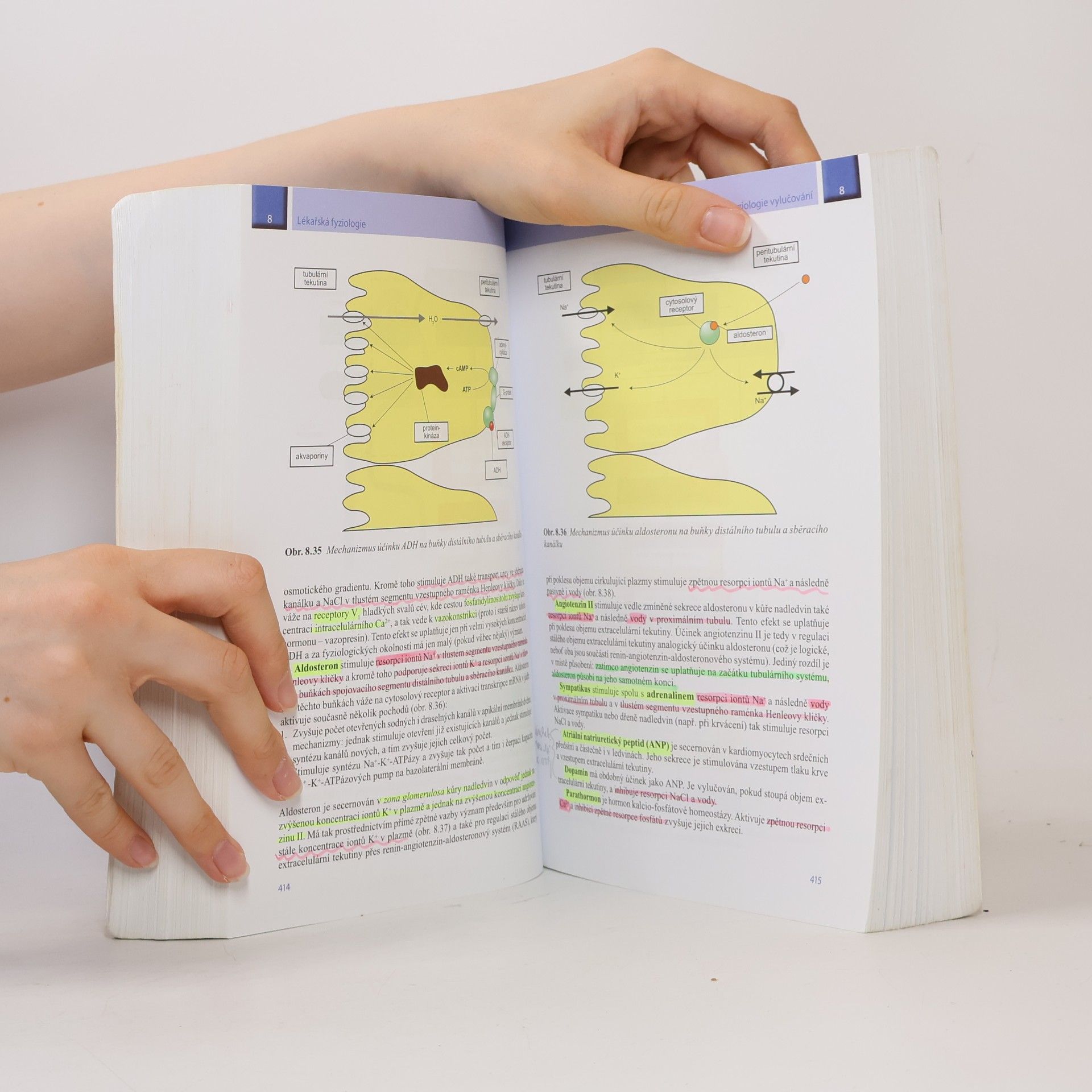 Otomar Kittnar Lékařská fyziologie